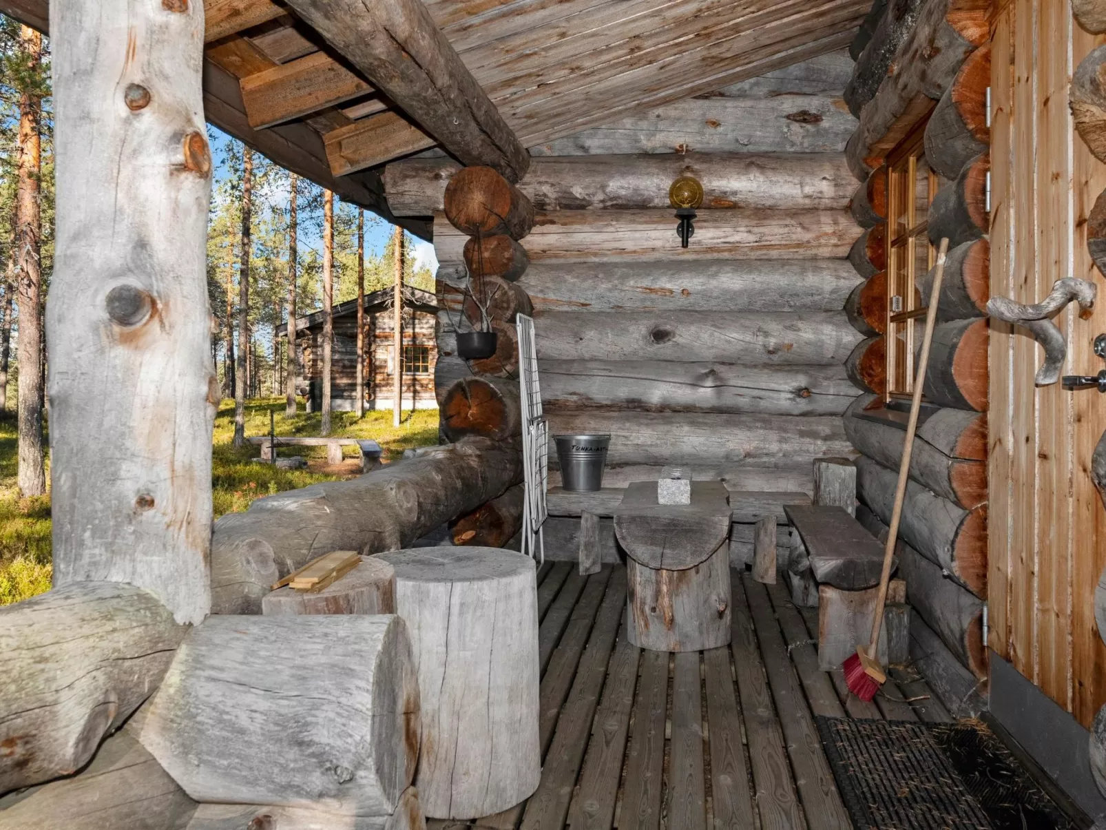 Villihanhi 7b-Binnen