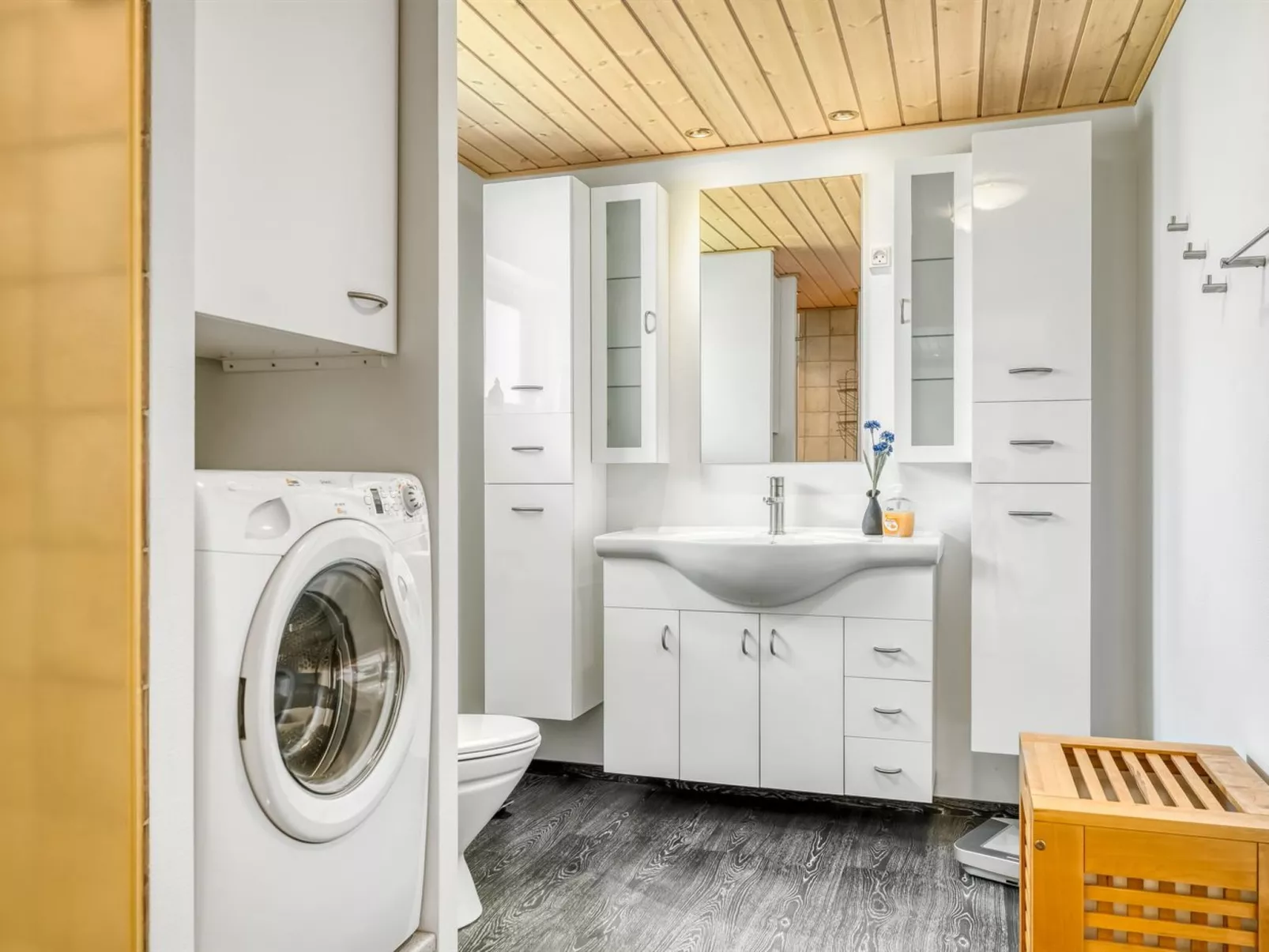 "Rathi" -  from the sea-Binnen