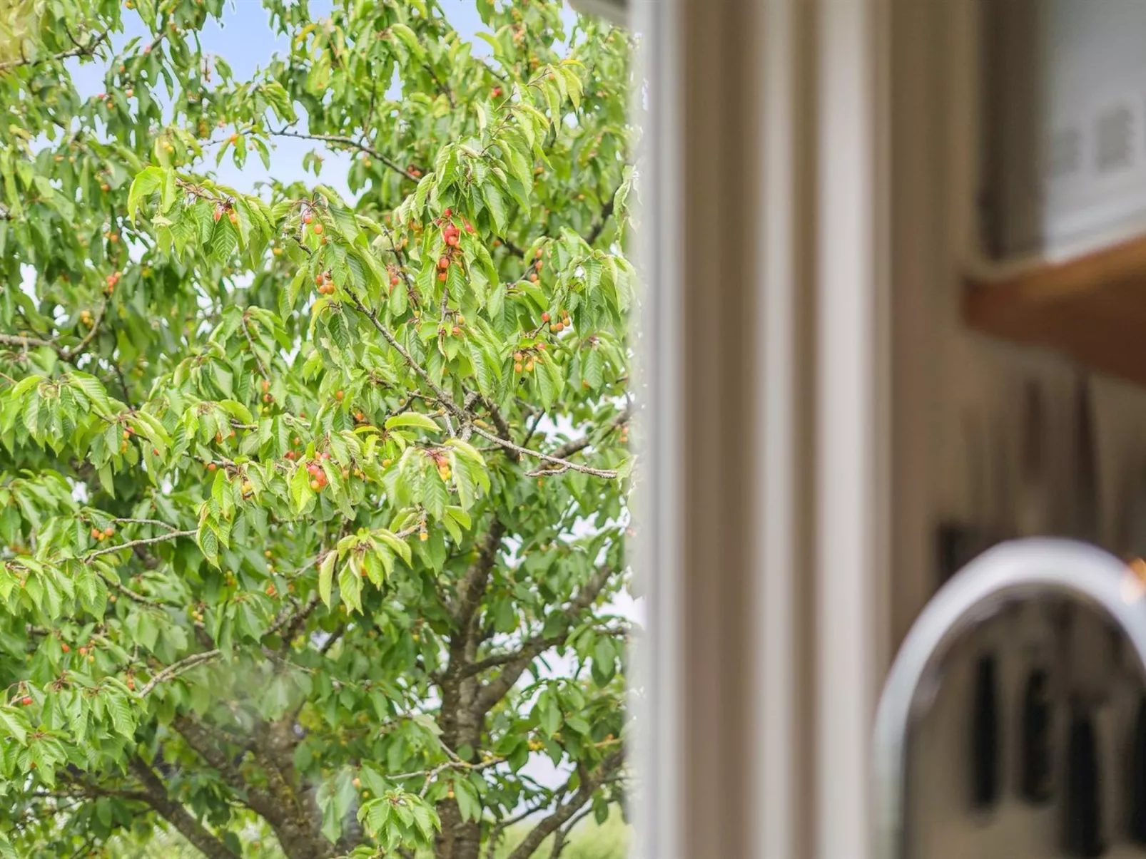 "Esme" - 225m to the fjord-Buiten