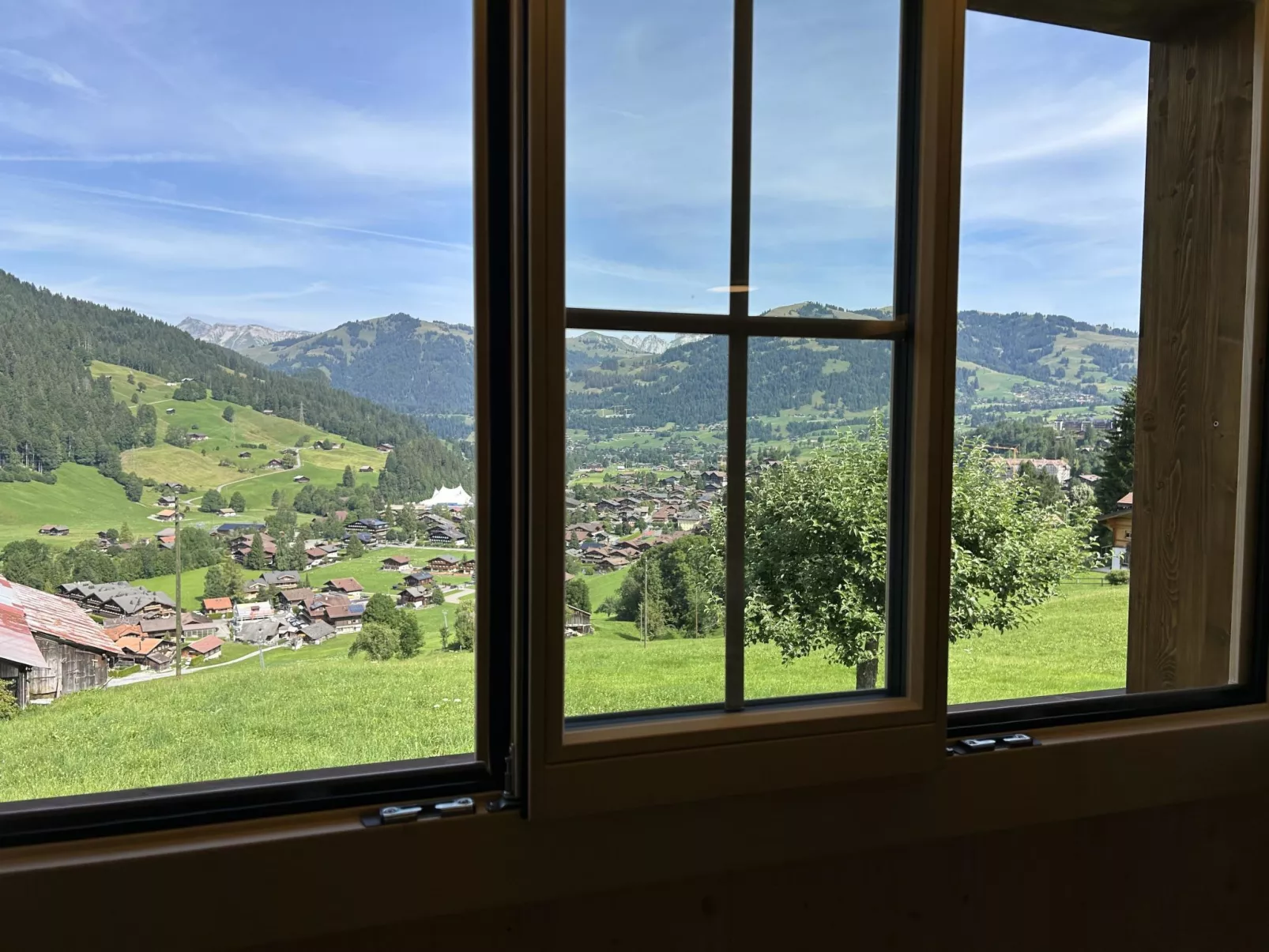 Alpenchalet Haldeli-Binnen