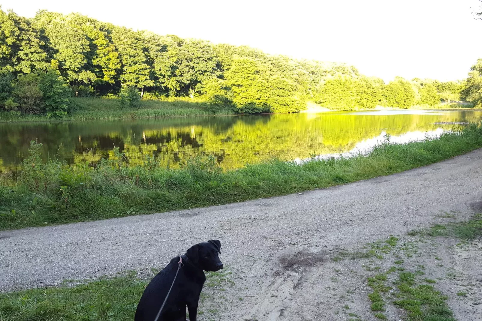 4 sterren vakantie huis in Brønderslev-Waterzicht
