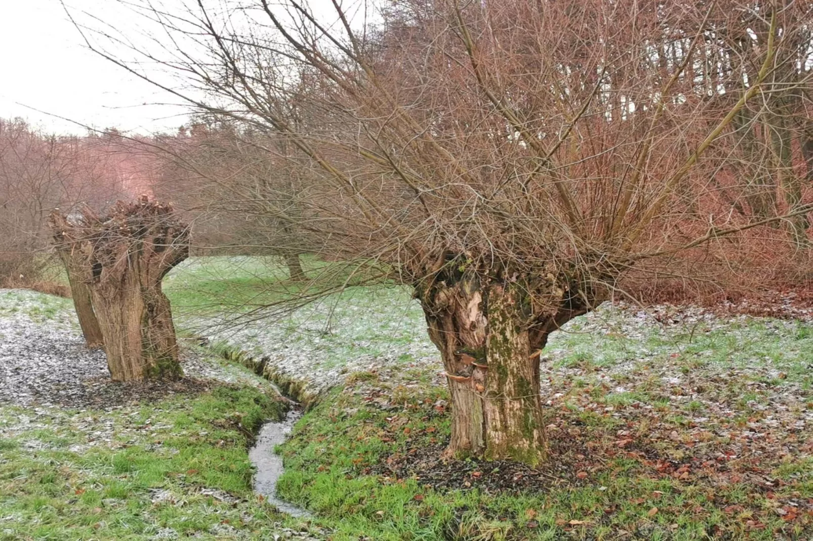 Ferienwohnung Freital - Dresden-Gebieden zomer 5km