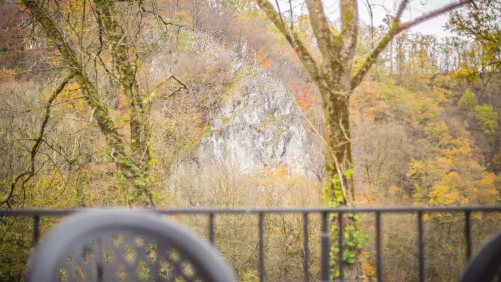 Vue sur Ourthe-Uitzicht zomer