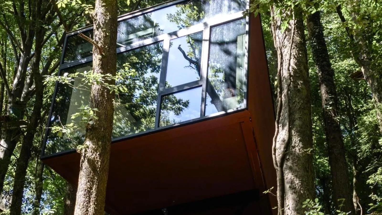 Cabane dans les arbres-Buitenkant zomer