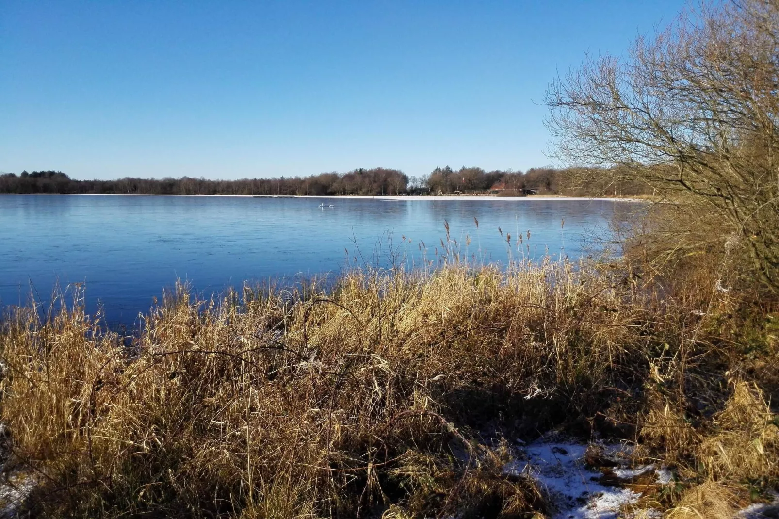5 sterren vakantie huis in Ansager-Waterzicht