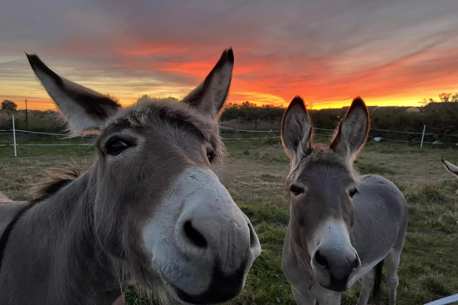Domki wakacyjne dla 8 osób w Mielenku-Parkfaciliteiten