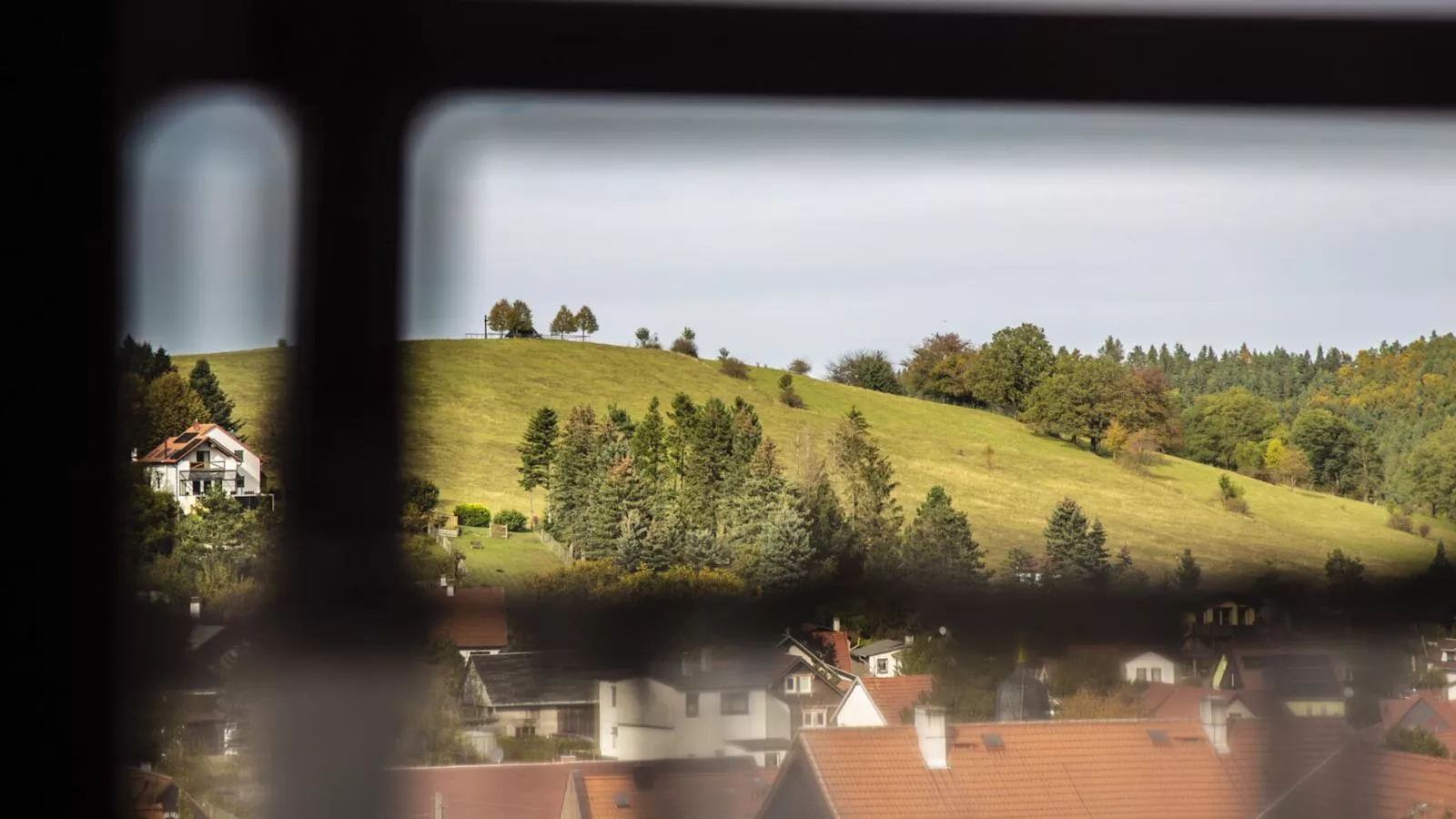 Naturstammhaus-Uitzicht zomer