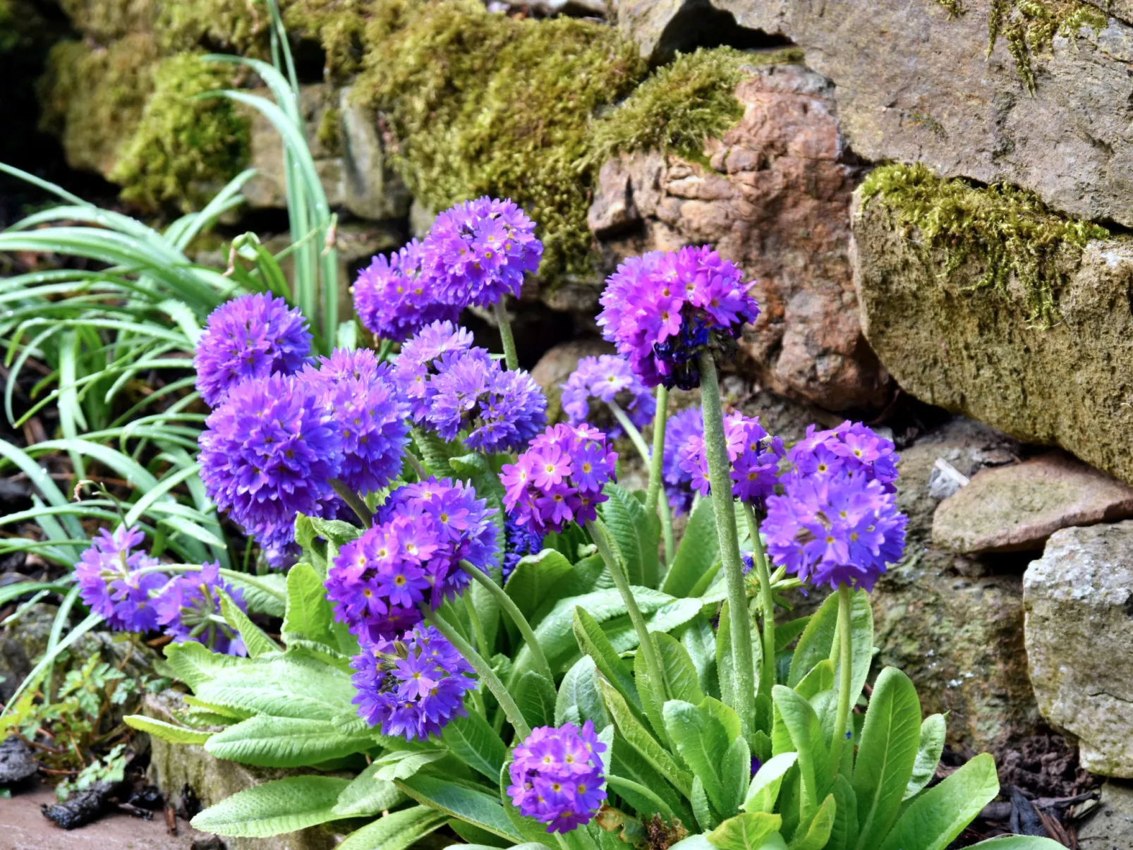 Stable Cottage-Buiten