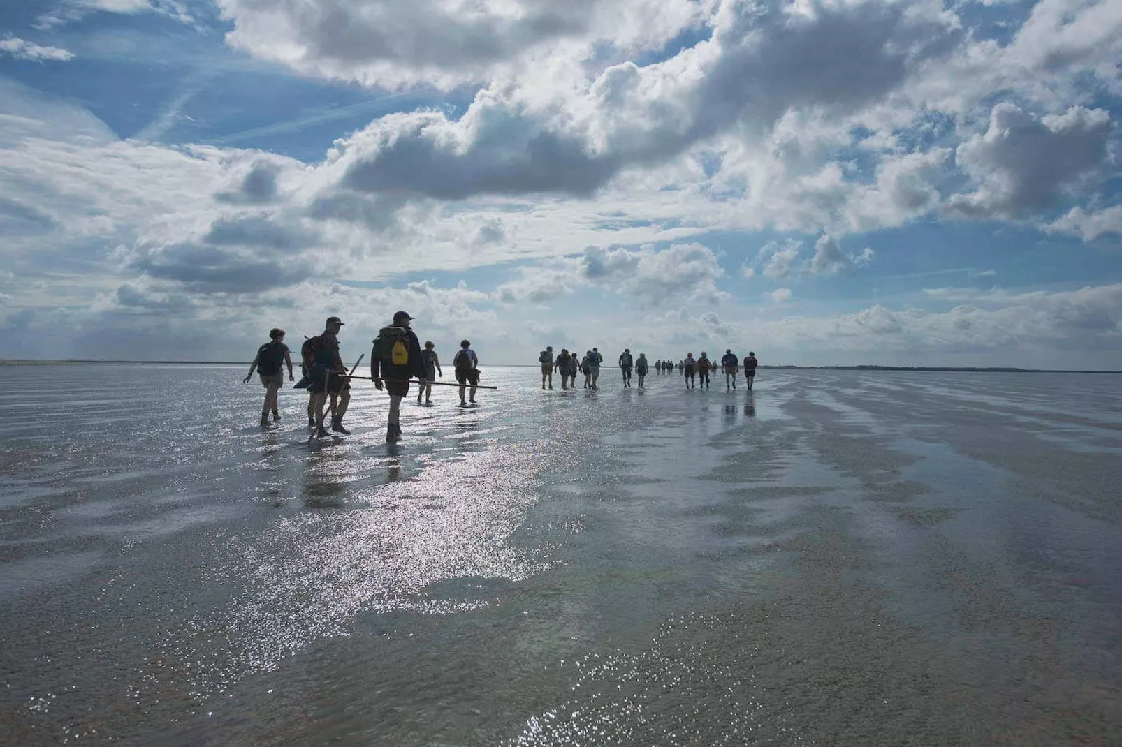 Vakantiepark Emslandermeer 8-Gebieden zomer 5km