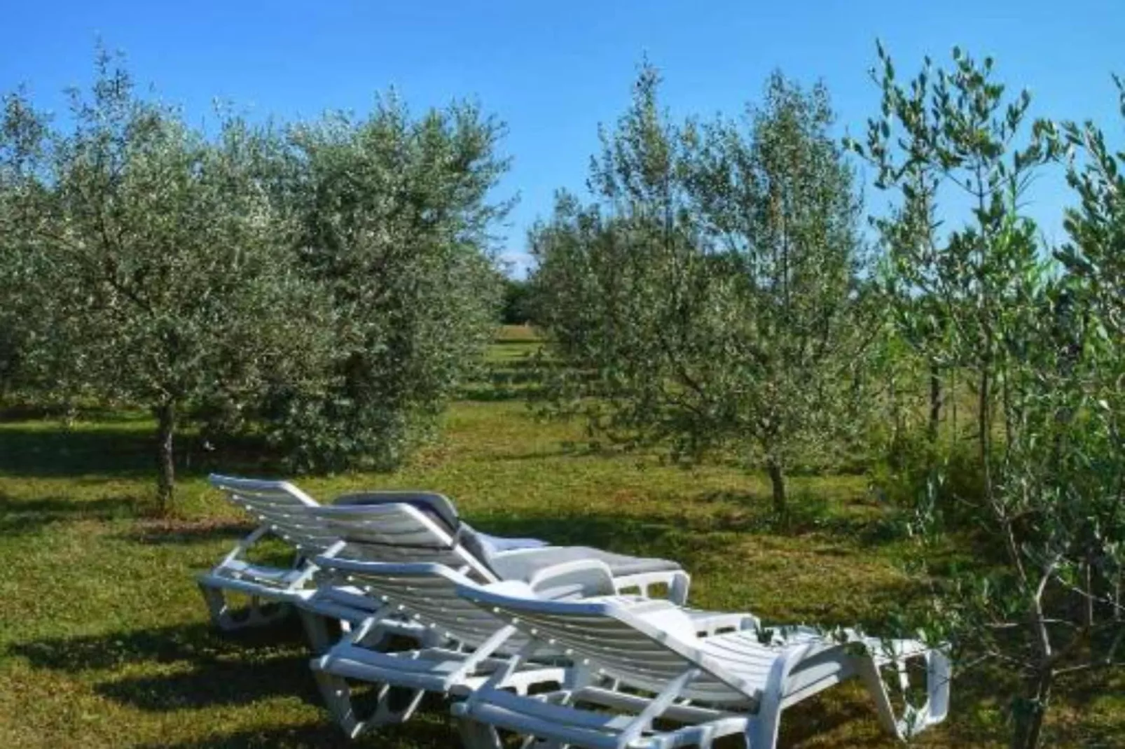 House in Nature-Buitenlucht