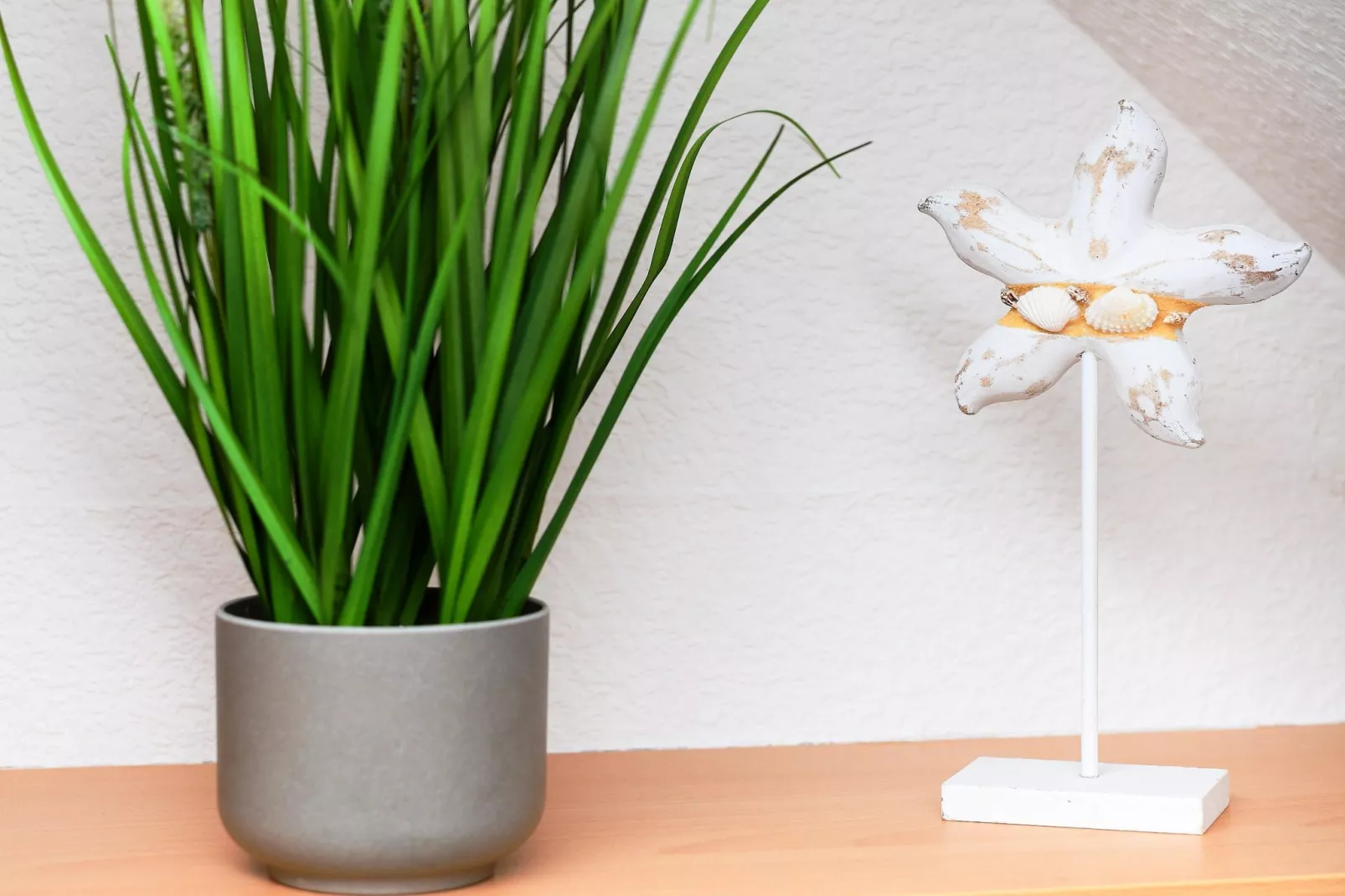 Haus Strandkorb 8-Woonkamer