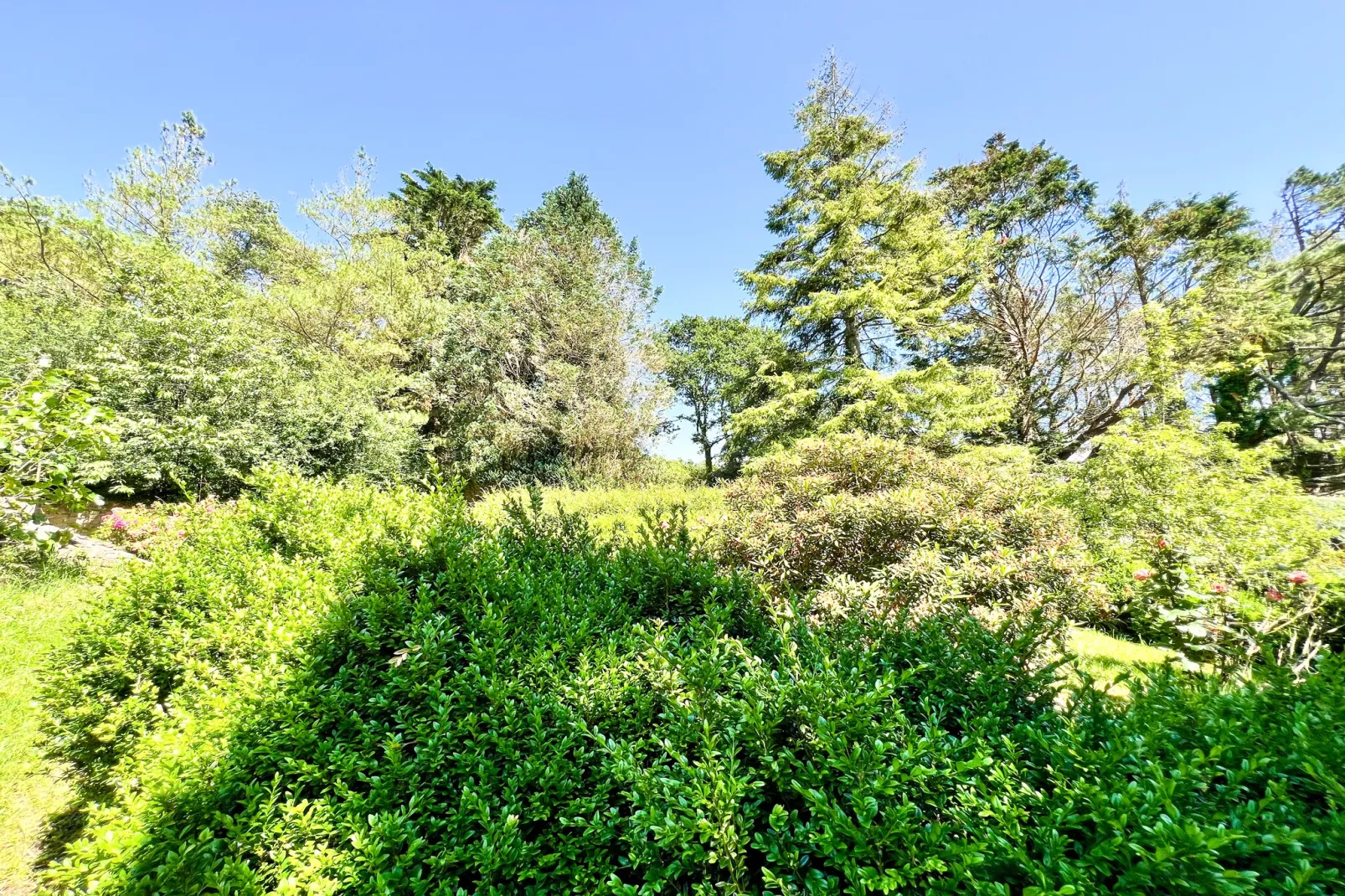 Doppelhaushälfte in Milizac-Tuinen zomer