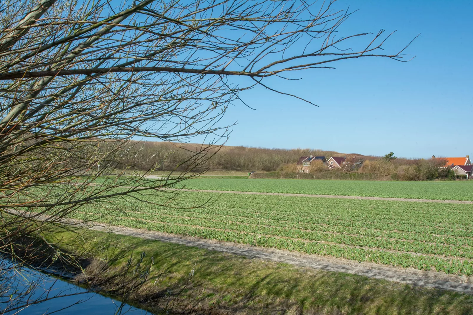 Résidence Juliana 21-Gebieden zomer 1km