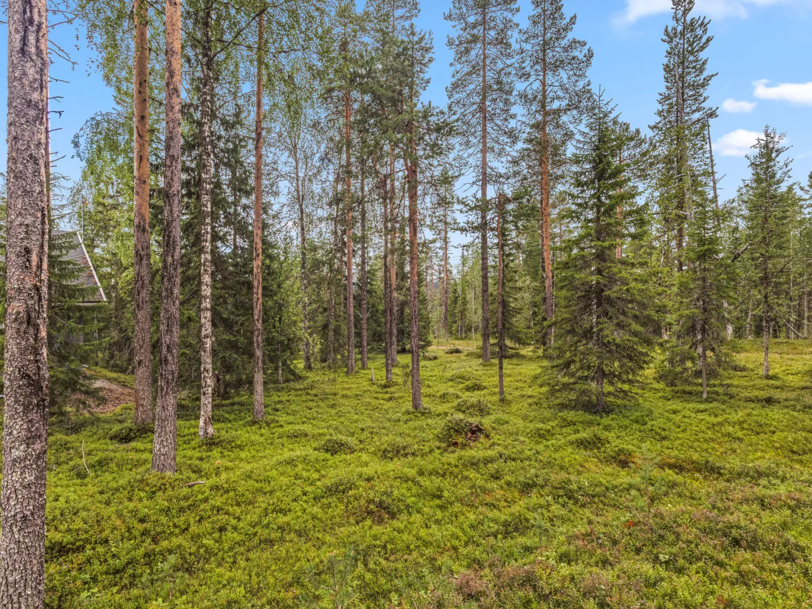 Kultapiisku 2-Binnen