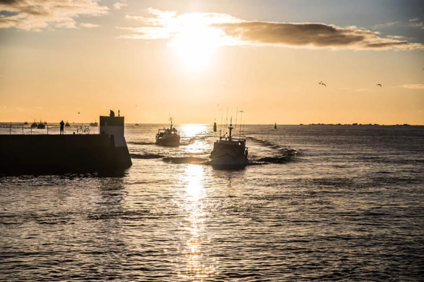 Maison à Treffiagat-Léchiagat-Niet-getagd