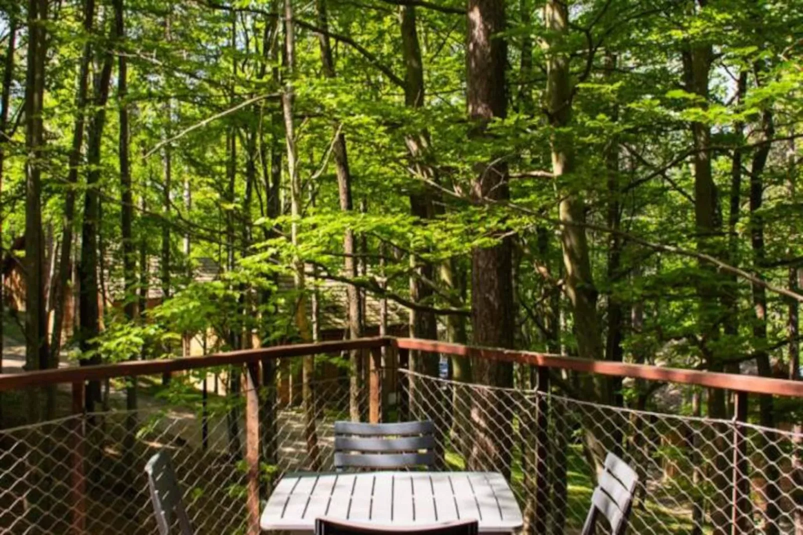 Gîte Cabane insolite dans les cévennes – les sous-bois 3 étoiles-Niet-getagd