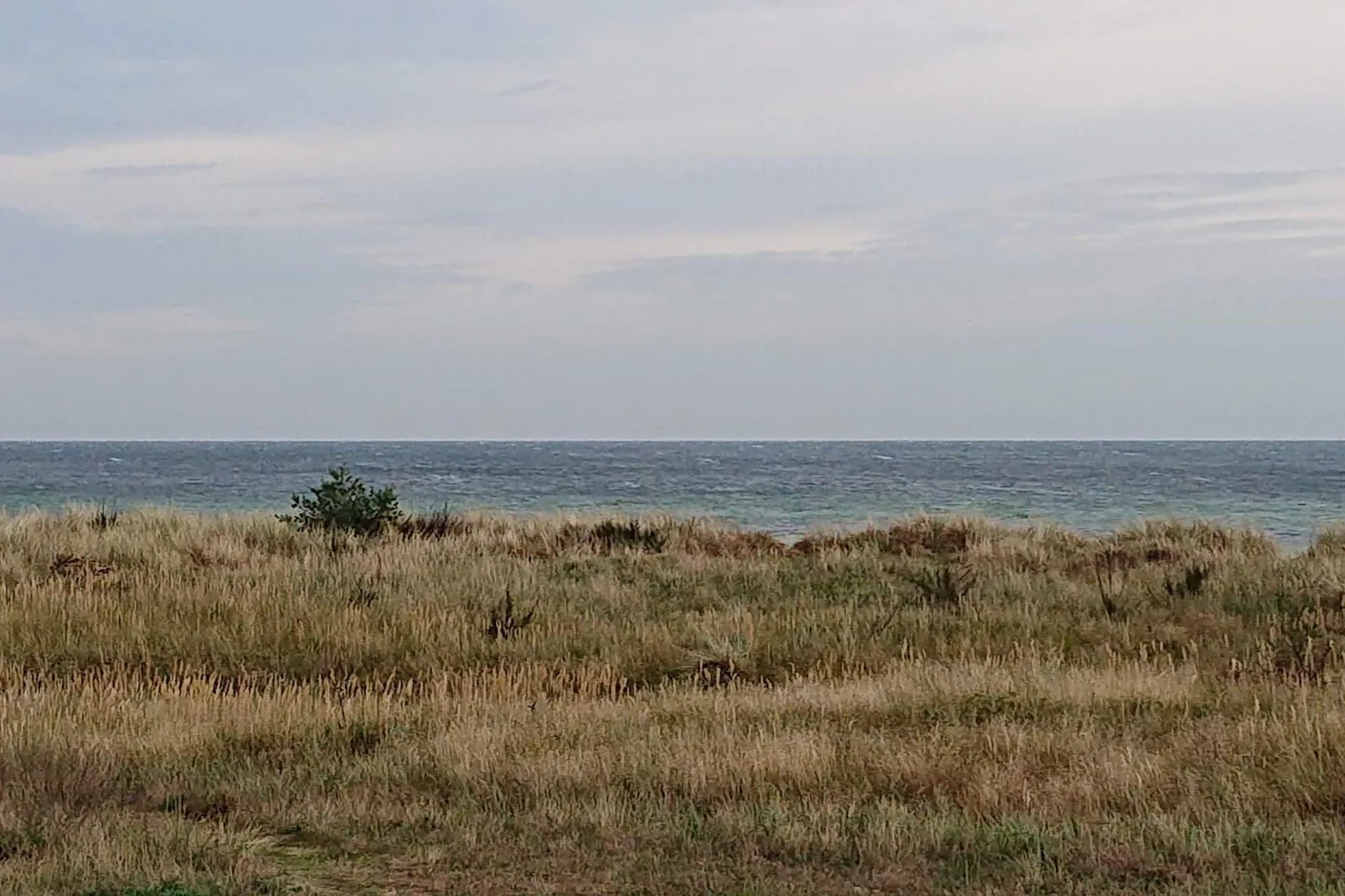 4 persoons vakantie huis in Gedser-Waterzicht