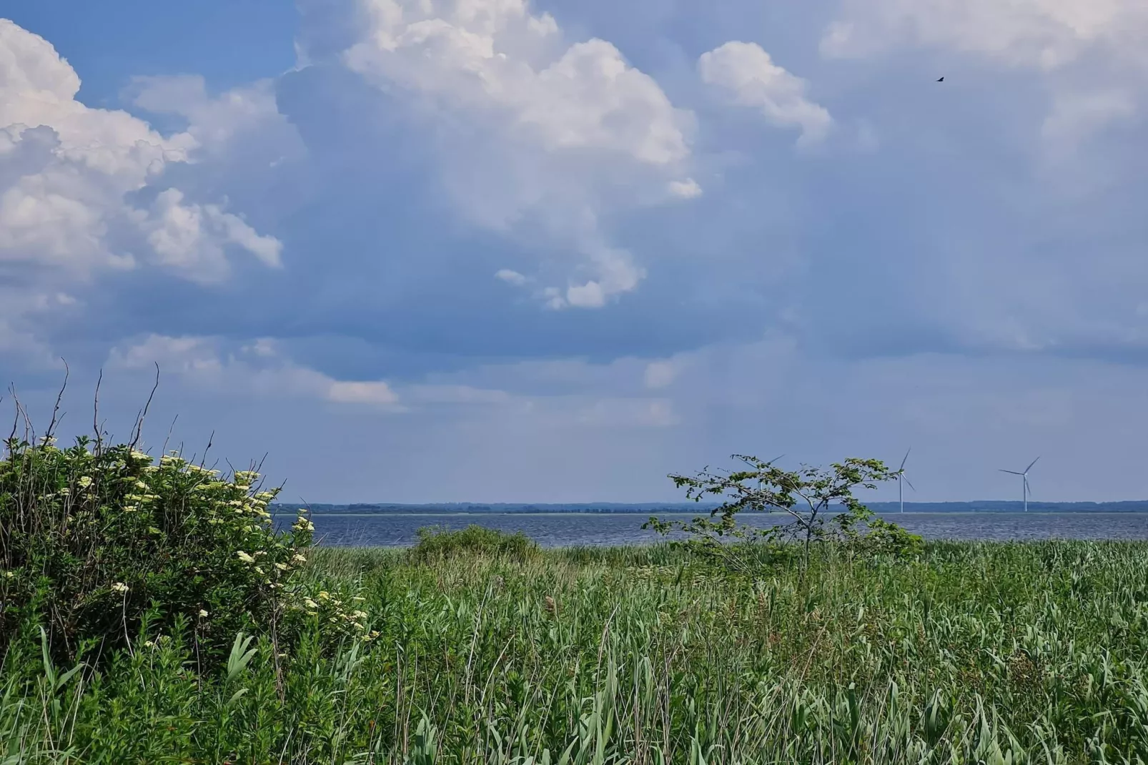 6 persoons vakantie huis in Ulfborg-Waterzicht