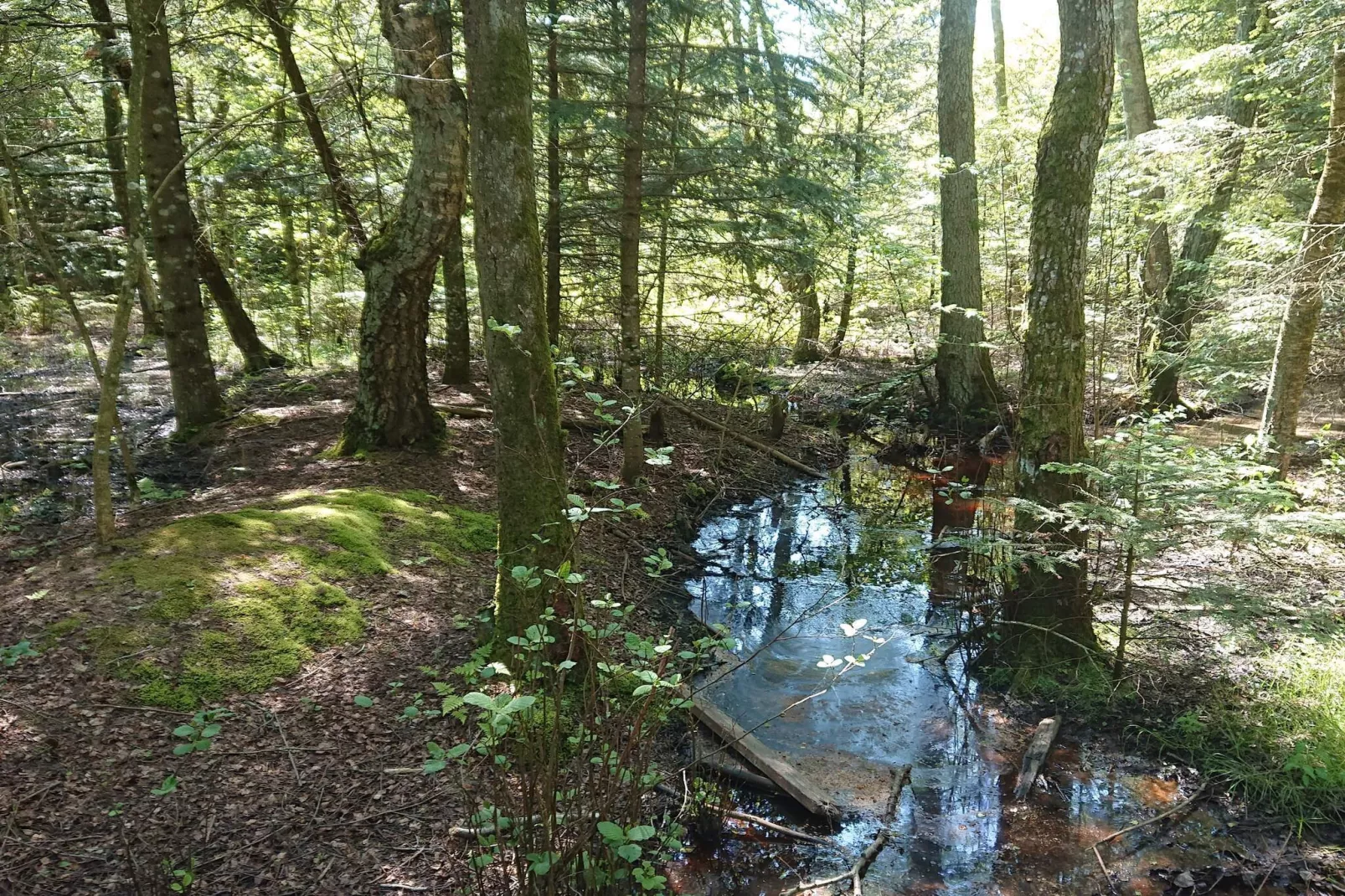 6 persoons vakantie huis in Bindslev-Waterzicht