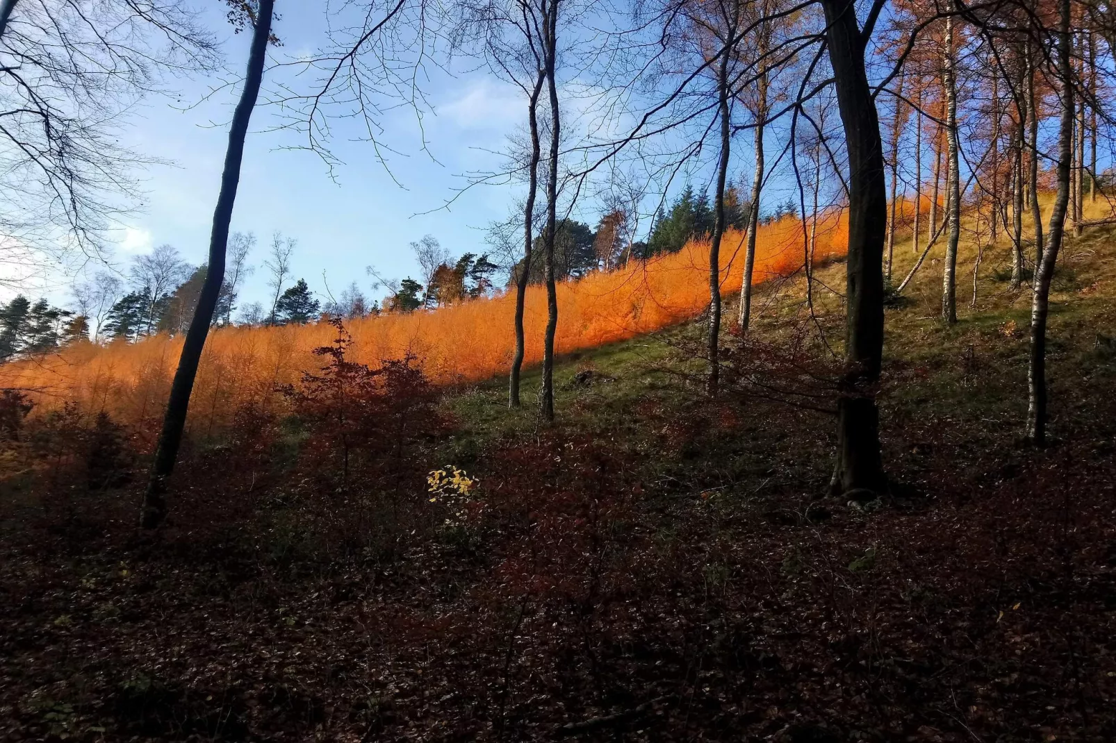6 persoons vakantie huis in Ebeltoft-Niet-getagd