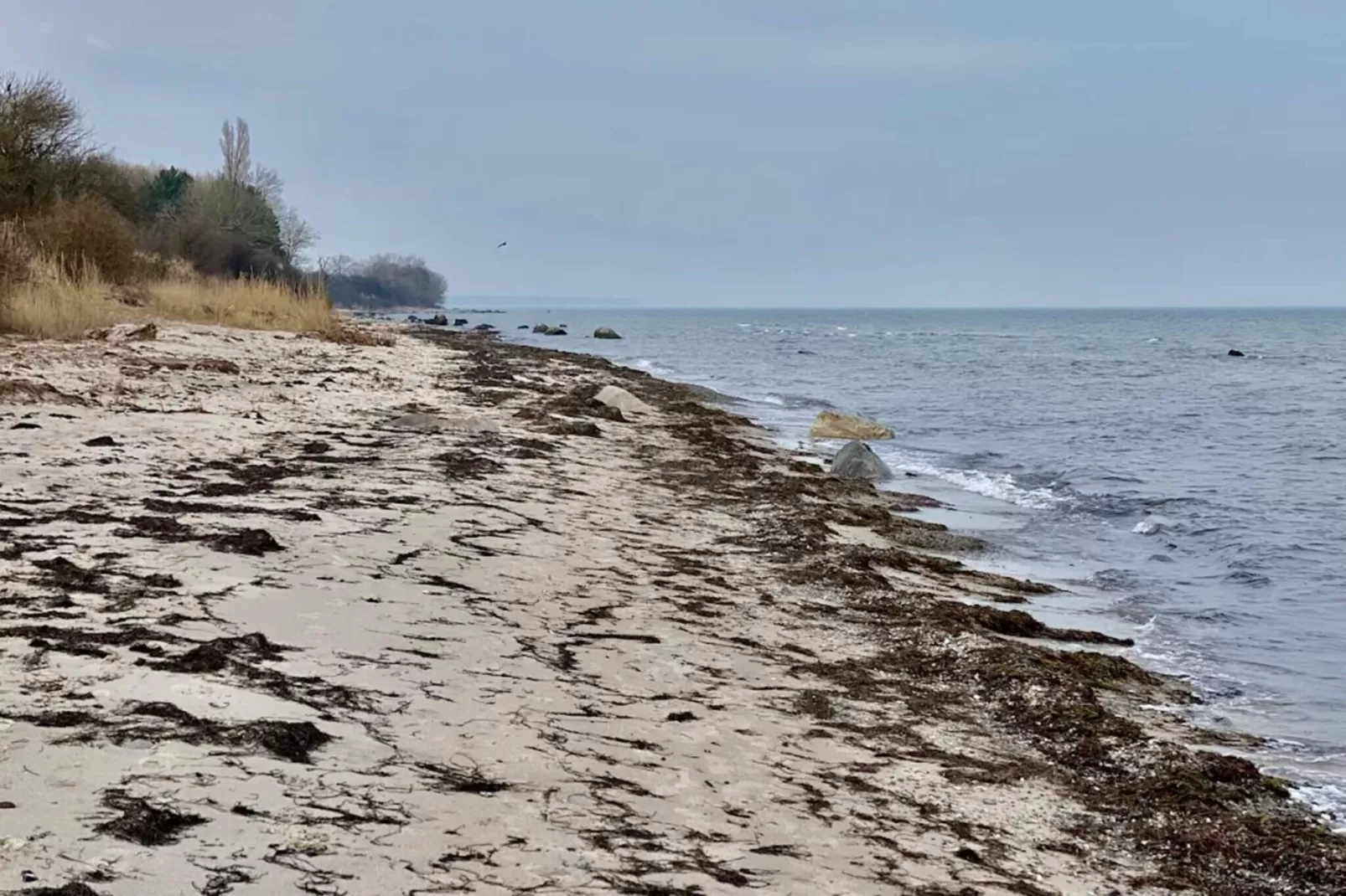 12 persoons vakantie huis in Væggerløse-Waterzicht