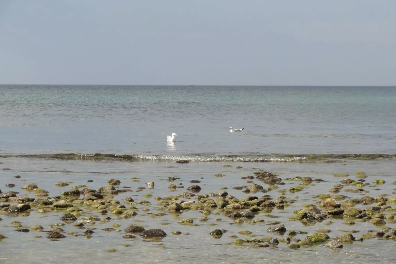 Luxe retraite in Liseleje -- By Traum Ferienwohnungen-Waterzicht