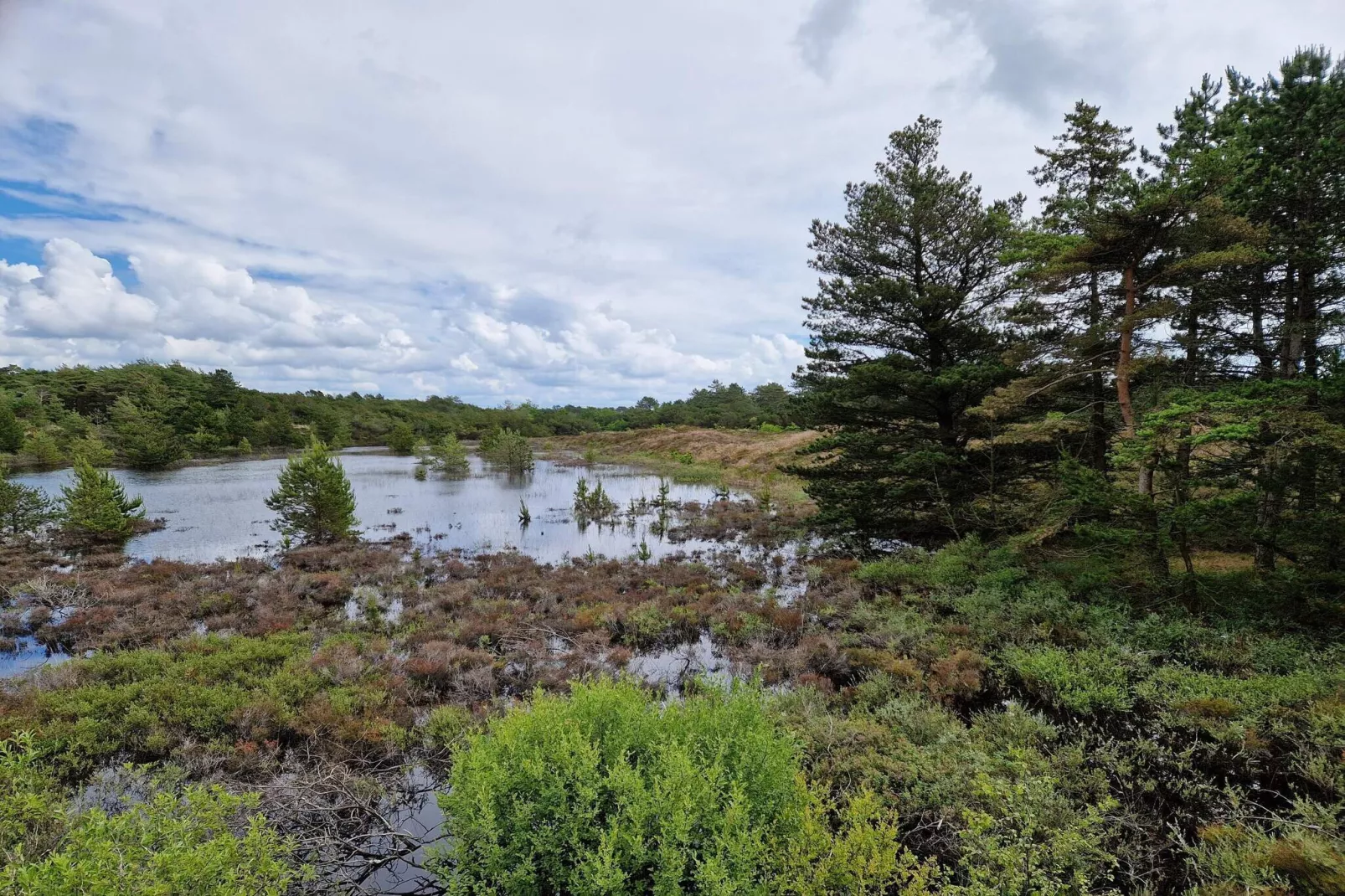 6 persoons vakantie huis in Rømø-By Traum-Waterzicht