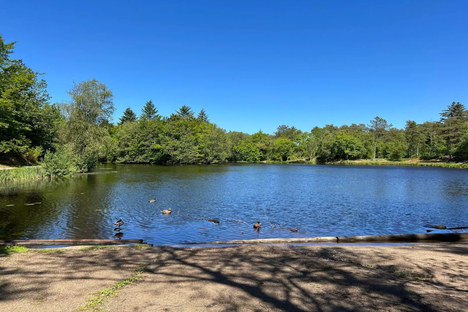 6 persoons vakantie huis in Ålbæk-By Traum-Waterzicht