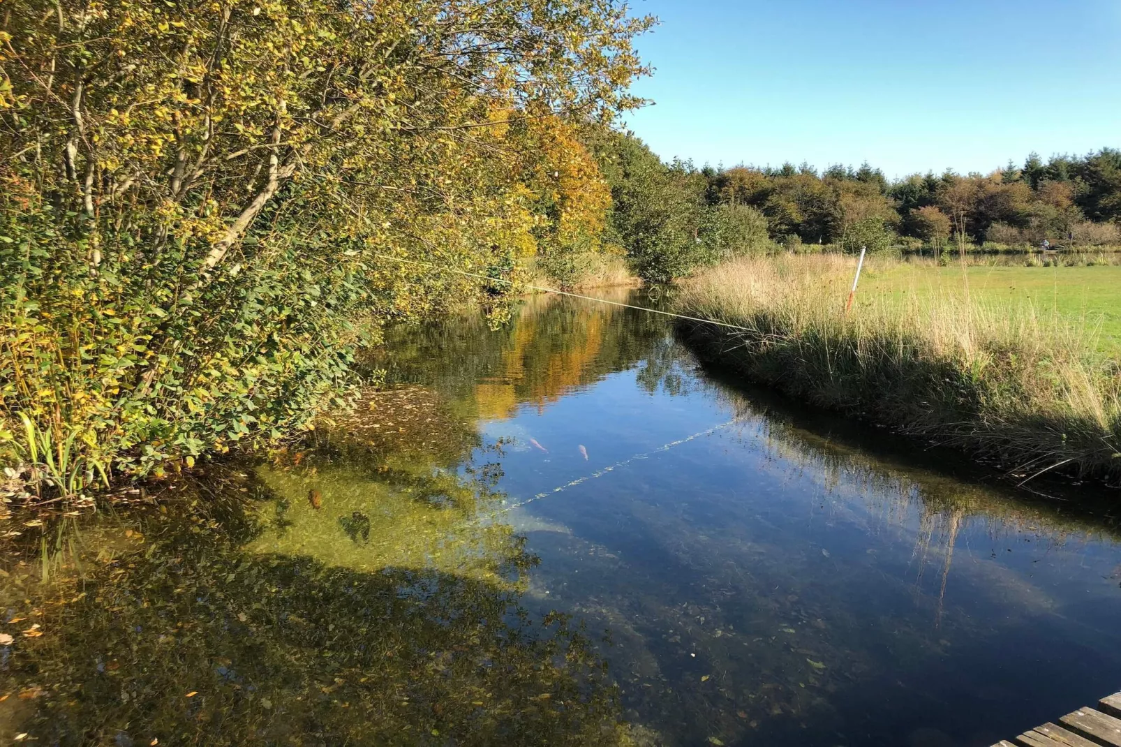 4 persoons vakantie huis in Toftlund-By Traum-Waterzicht
