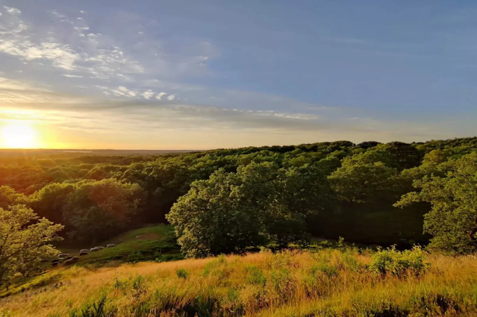 8 persoons vakantie huis in Gjern-By Traum-Niet-getagd