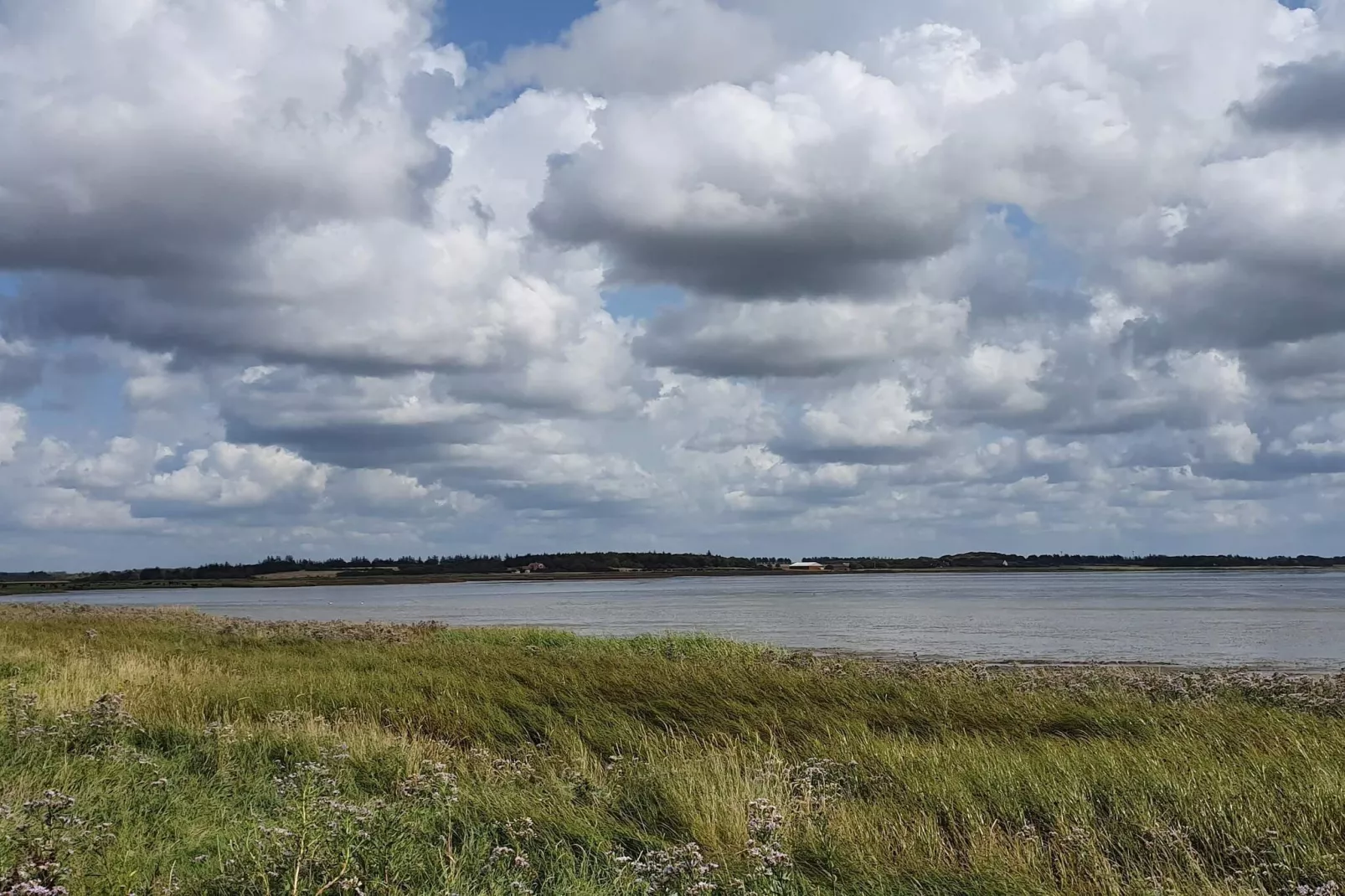 6 persoons vakantie huis in Oksbøl-Waterzicht