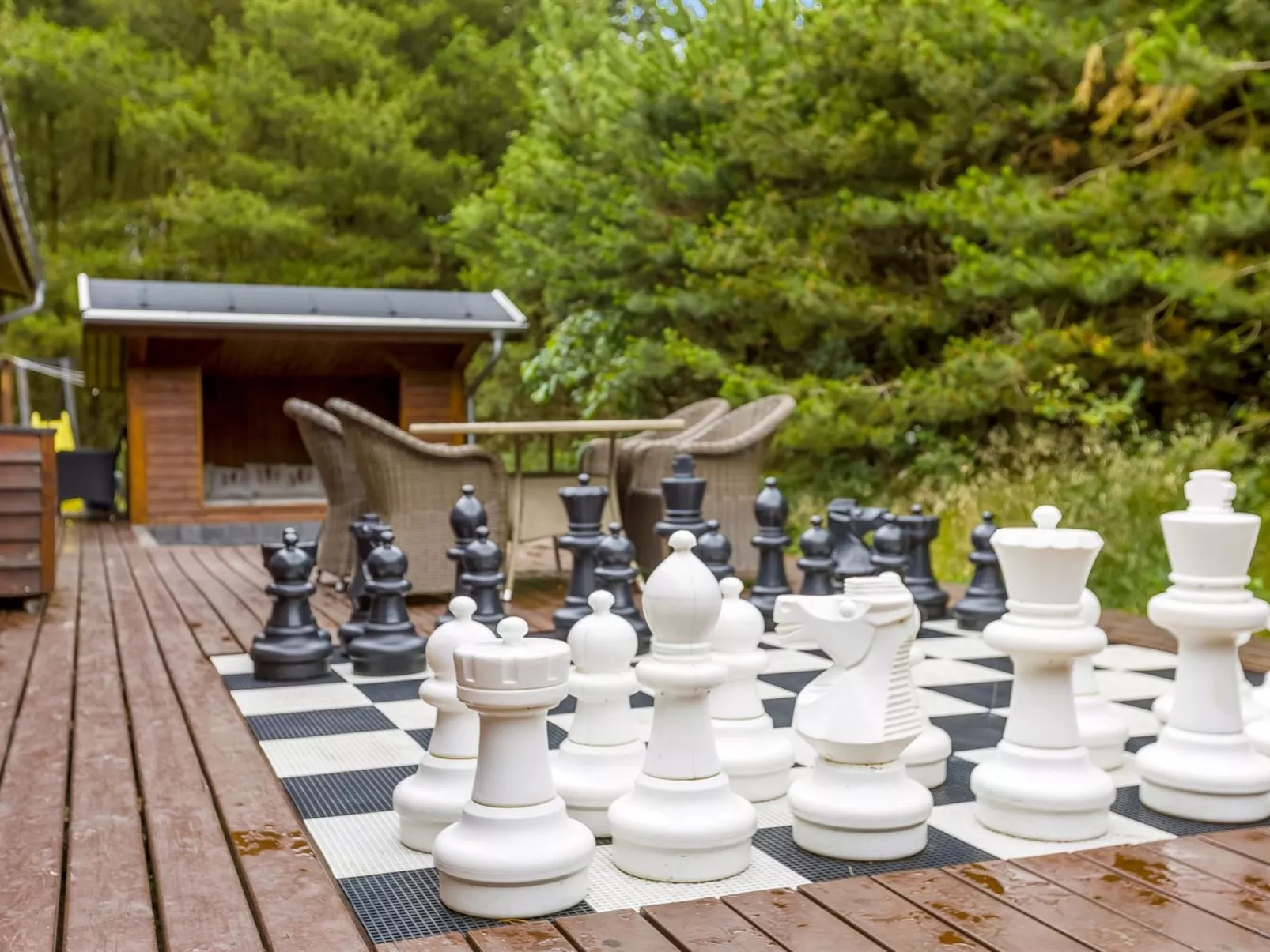 "Patrizia" - 1km from the sea-Buiten