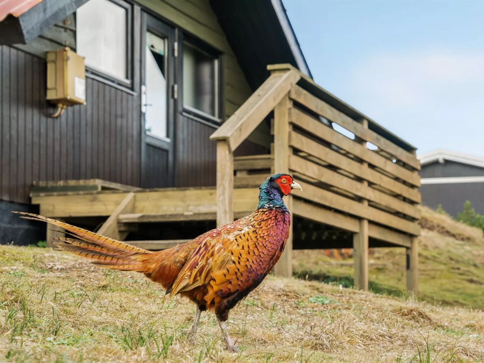 "Delia" - 300m from the sea-Buiten