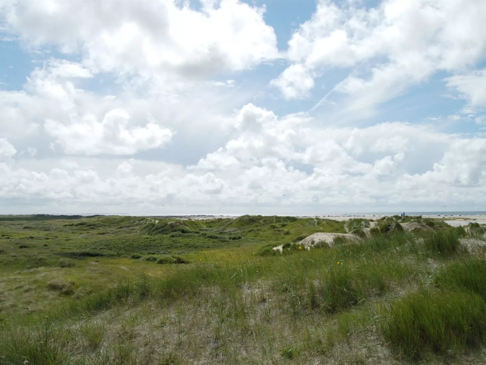 "Kalf" - 400m from the sea-Buiten