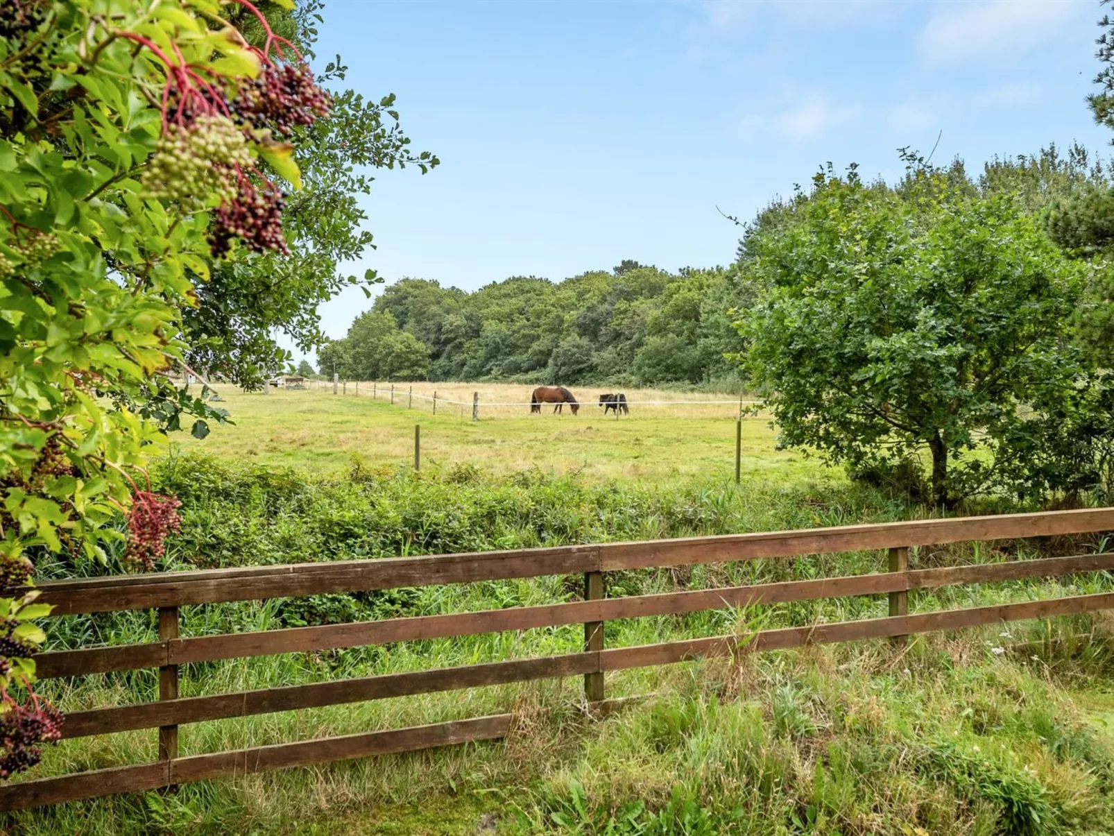 "Botulf" - 3.8km from the sea-Buiten