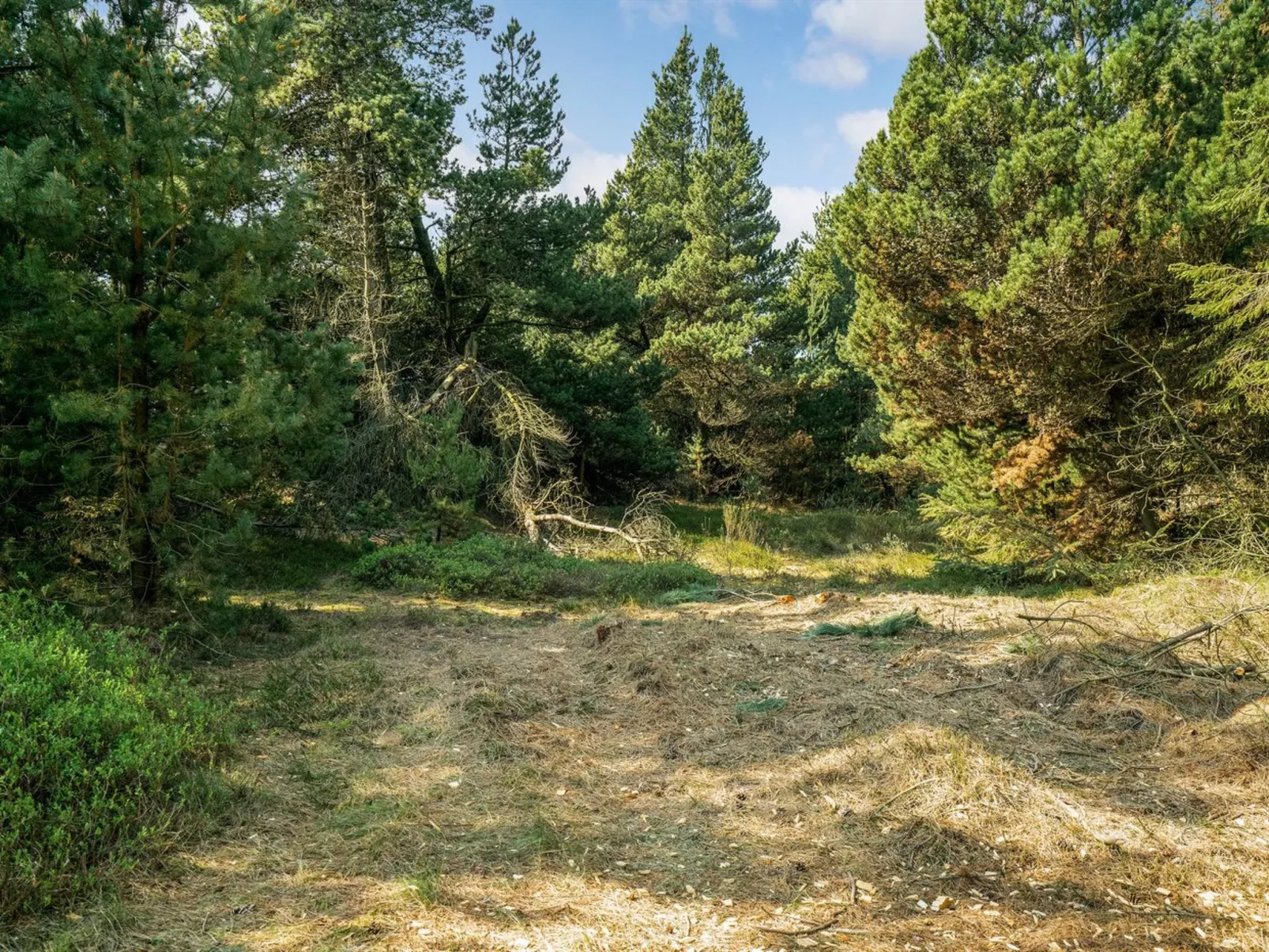 "Herborg" - 1km from the sea-Buiten