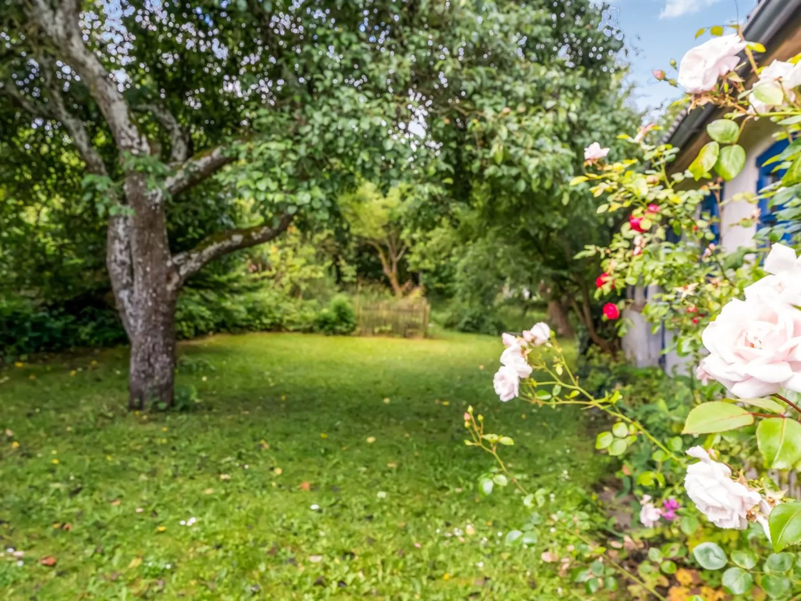 "Agrippa" - 30m to the fjord-Buiten