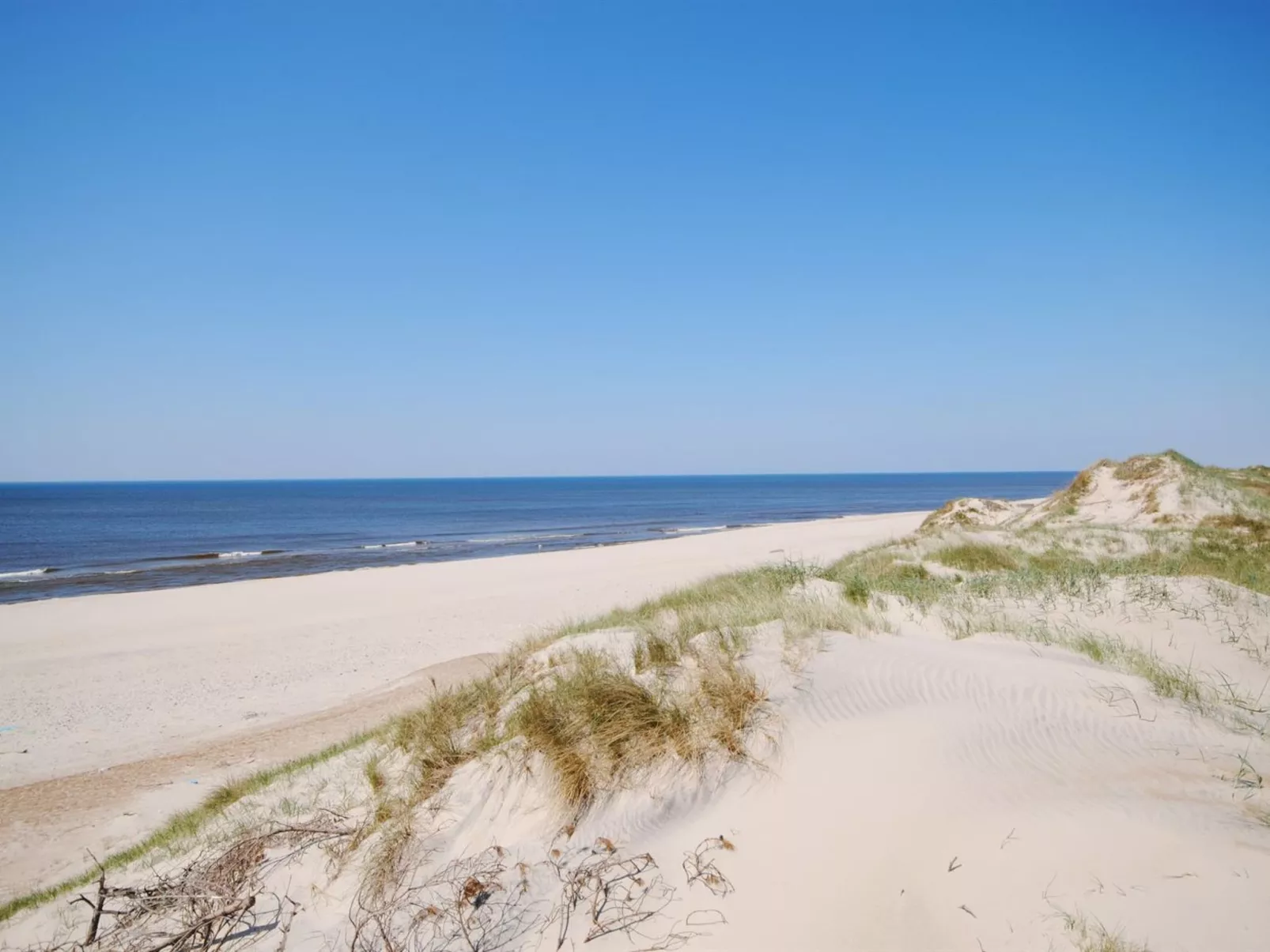 "Laetitita" -  from the sea-Buiten