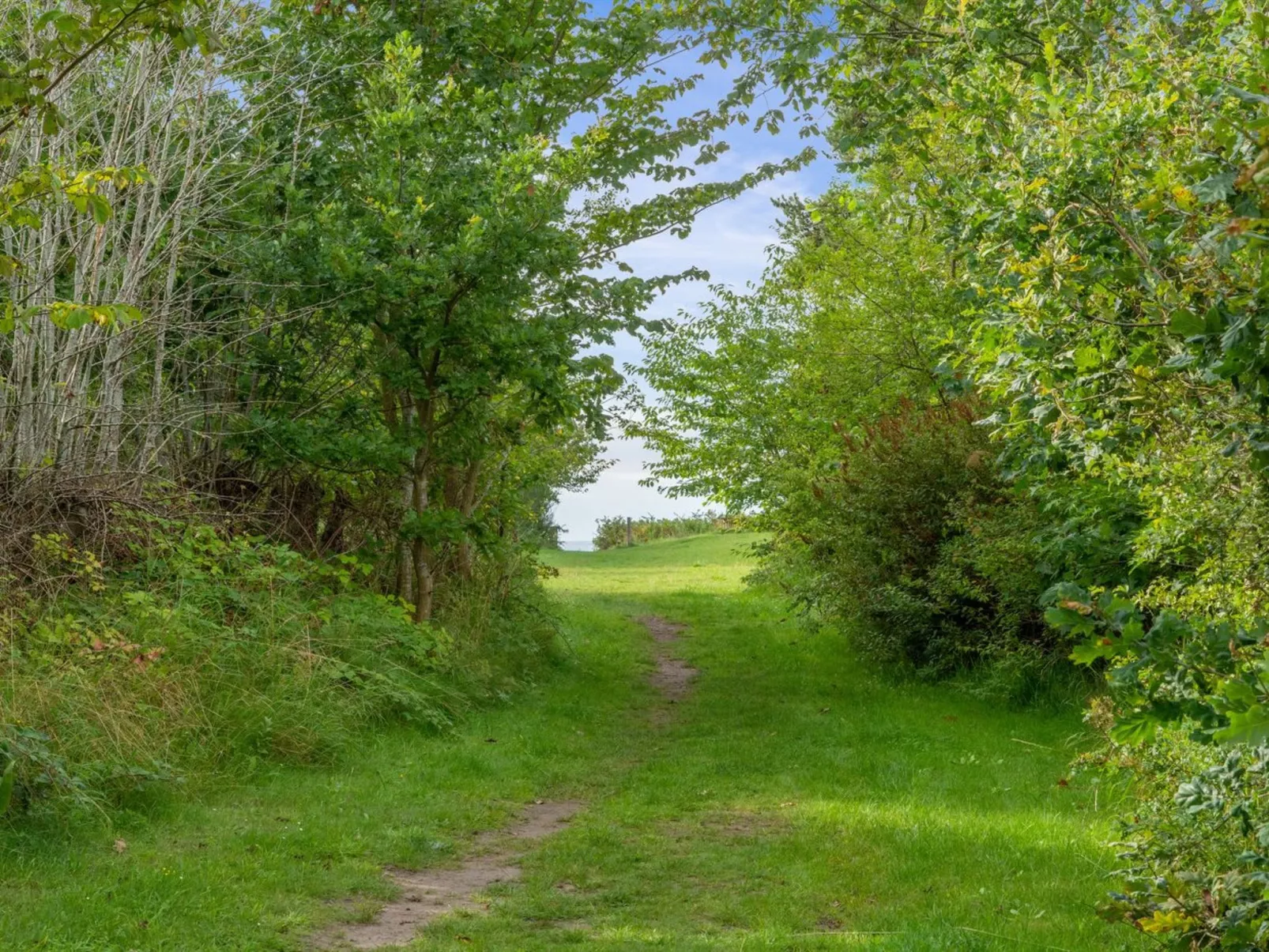 "Morten" - 120m from the sea-Buiten