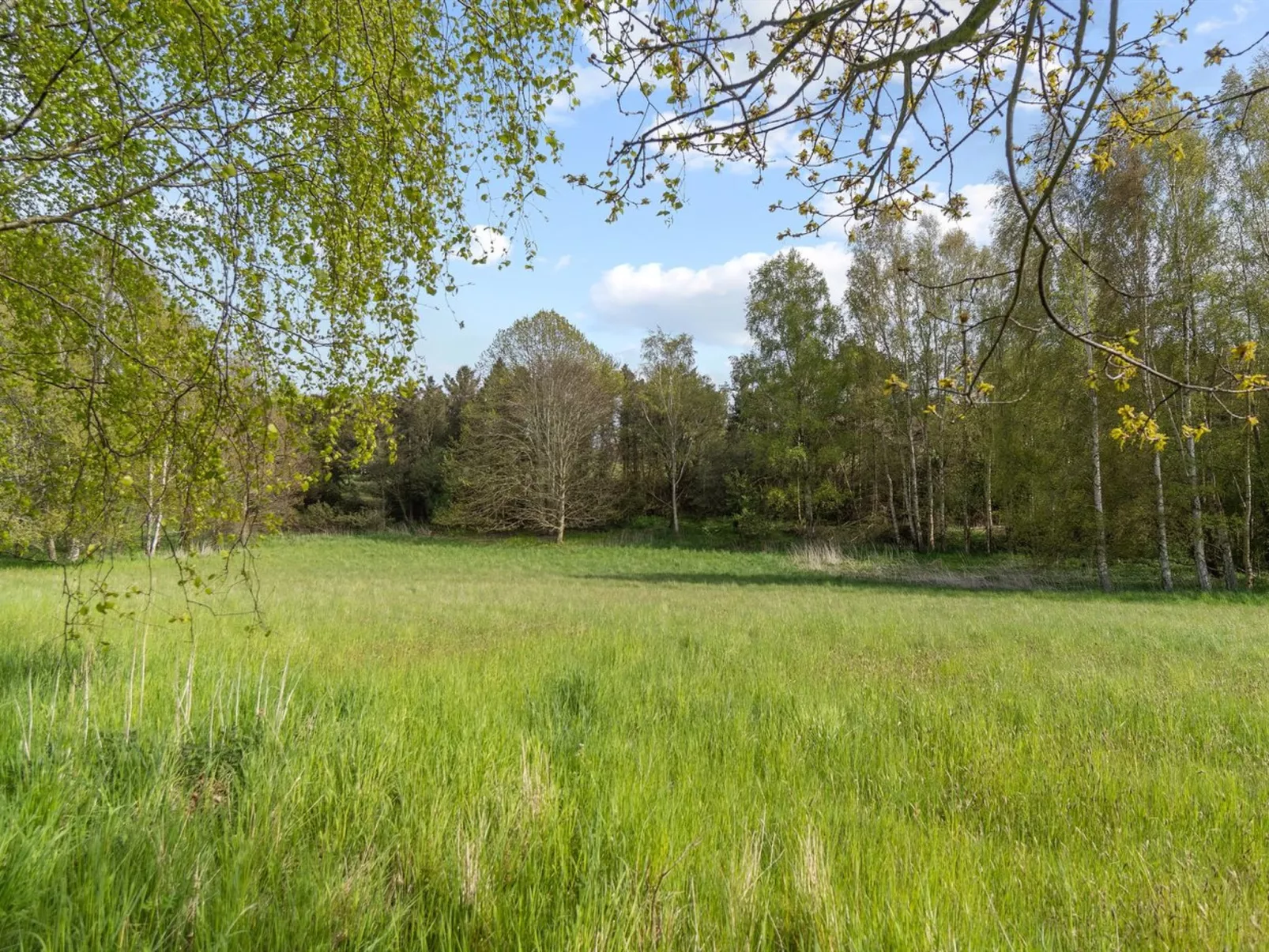 "Till" - 1.6km from the sea-Buiten