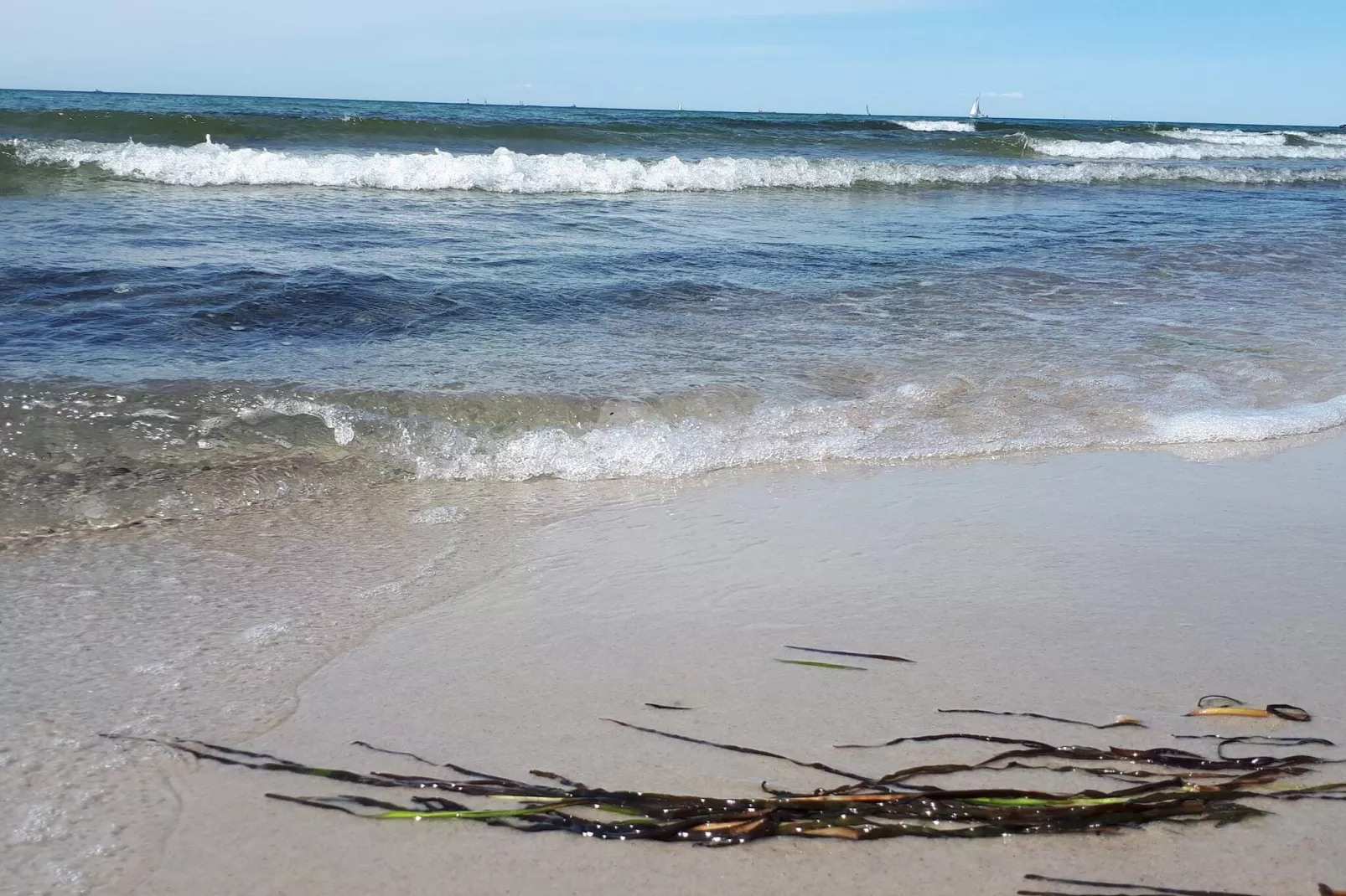 5 sterren vakantie huis in Wendtorf-Waterzicht