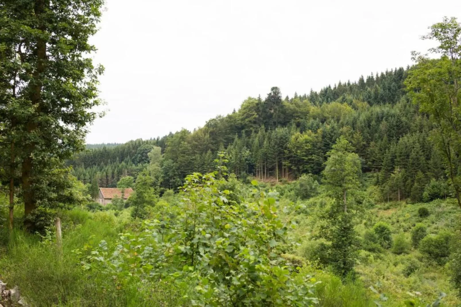 Domaine Des Messires 2-Gebieden zomer 5km