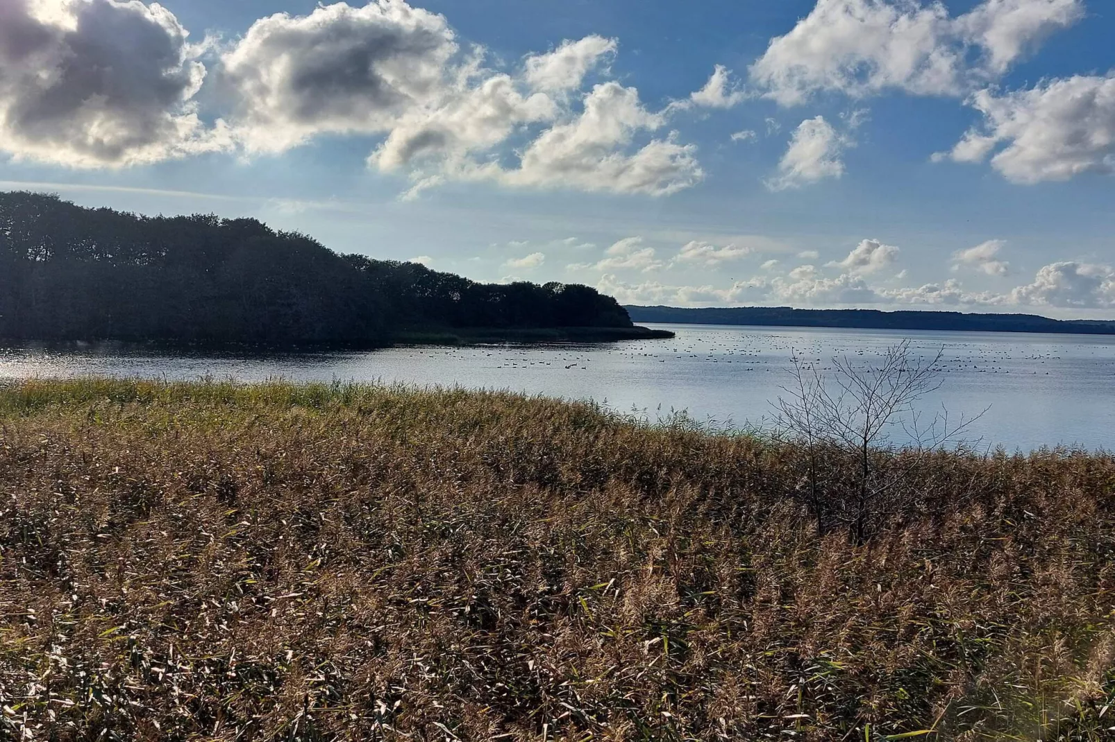Vreedzame hut in Ebeltoft-Waterzicht