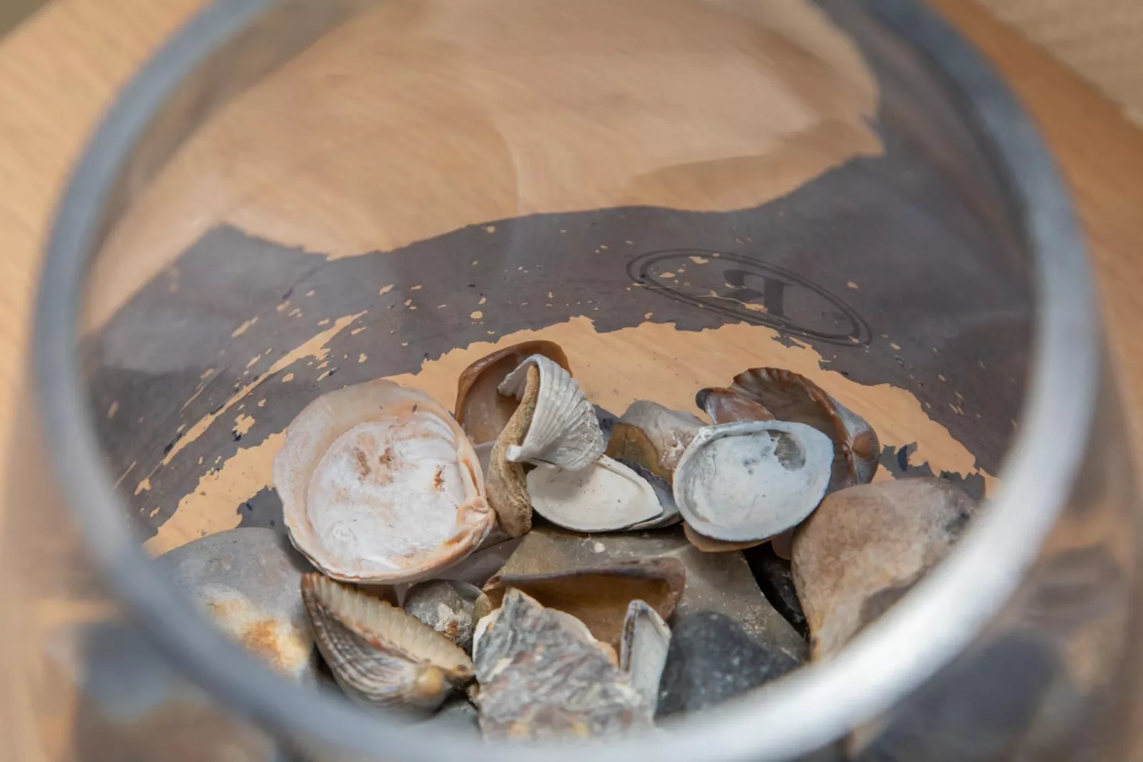 Vakantiehuisje Langstraat 29A Zoutelande 4 Personen  Comfortabel Verblijf-Niet-getagd