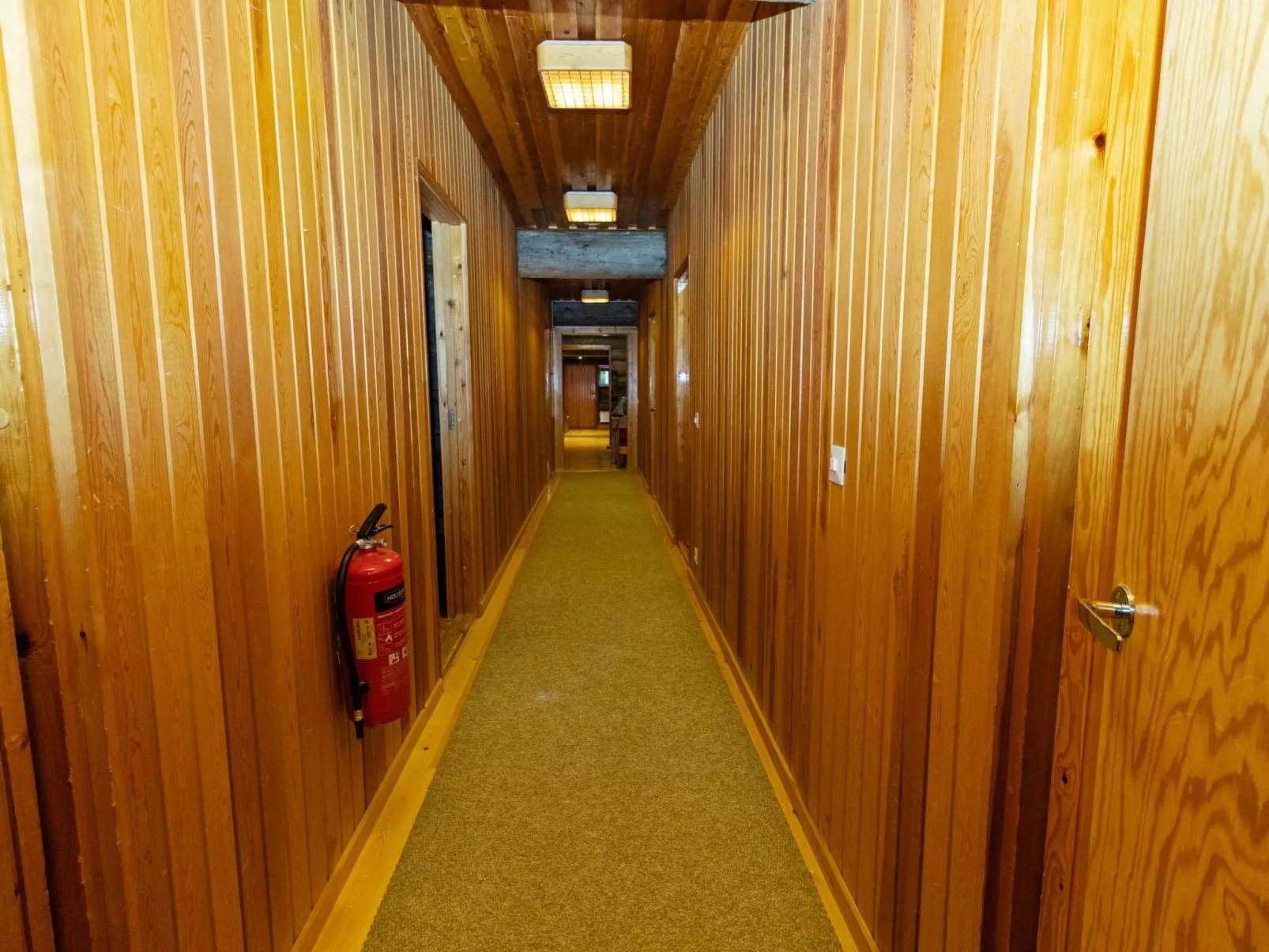 Metsä-luosto-Binnen