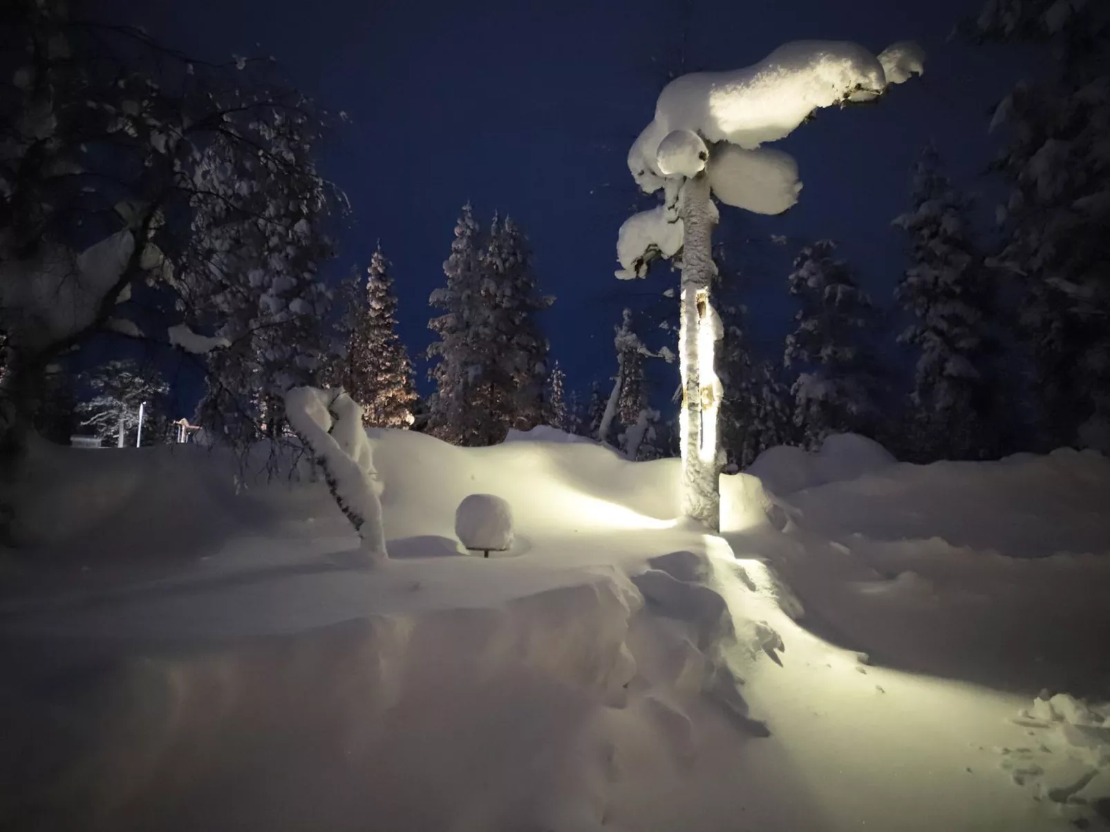 Tunturituuli a-Binnen