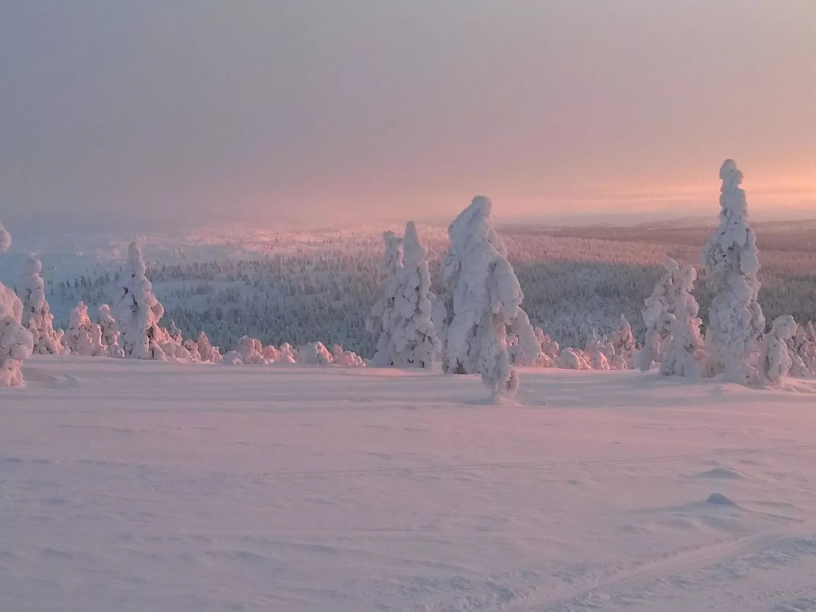 Moitakuru a10-Binnen