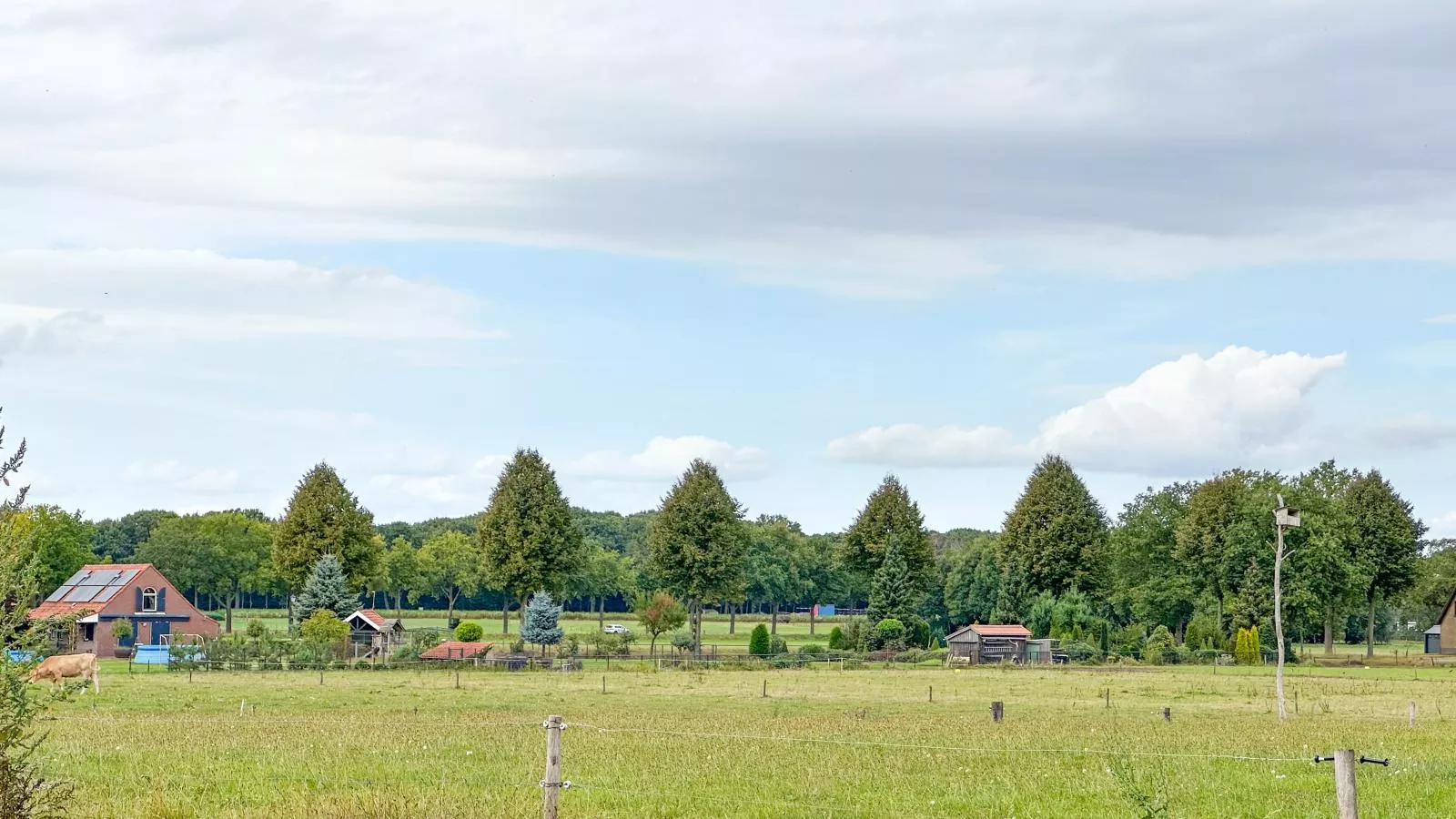 Het Bunt-Gebieden zomer 1km