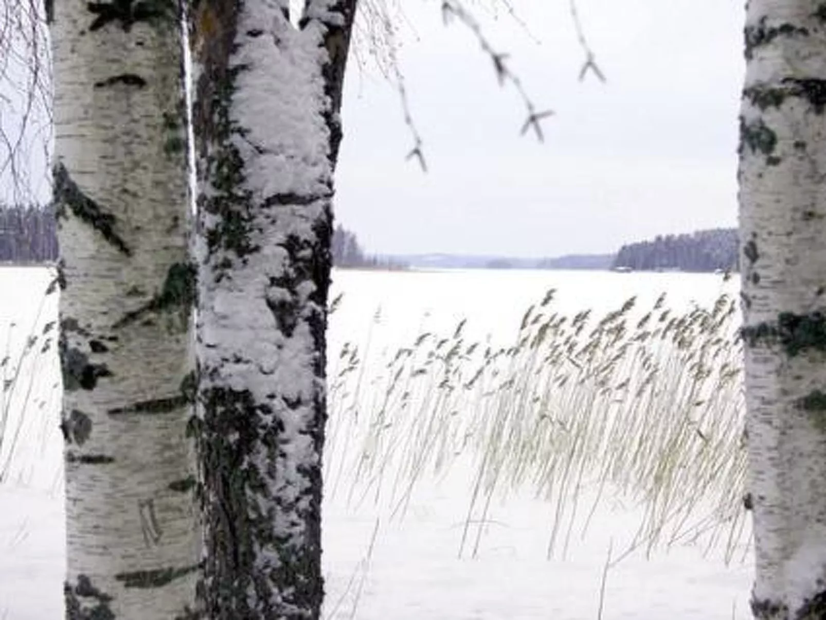 Kopinkallio 1-Binnen