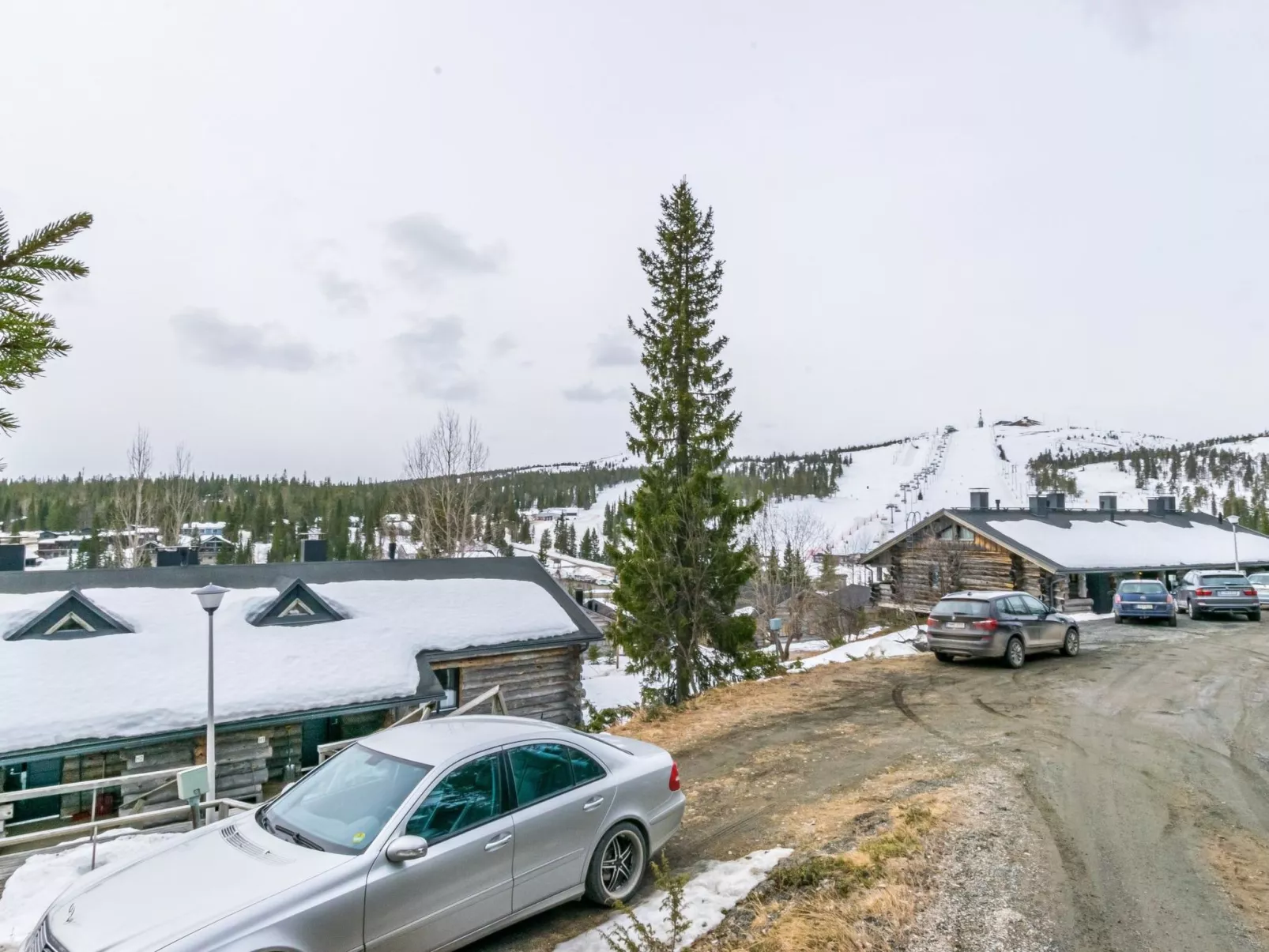 Saaruanaho h1-Binnen